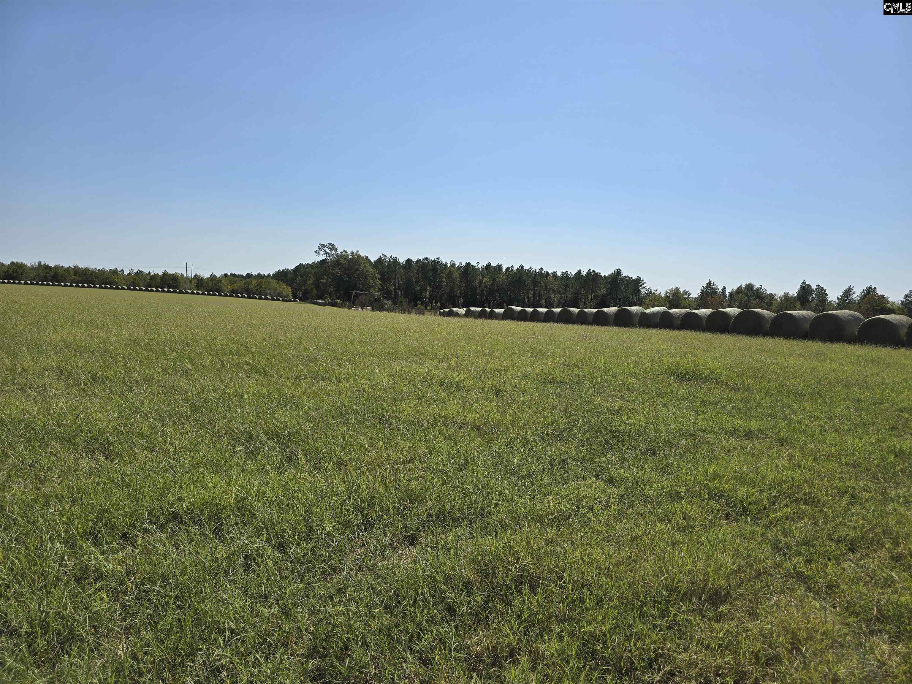 991 Old Chalk Bed Road, Batesburg, South Carolina image 2