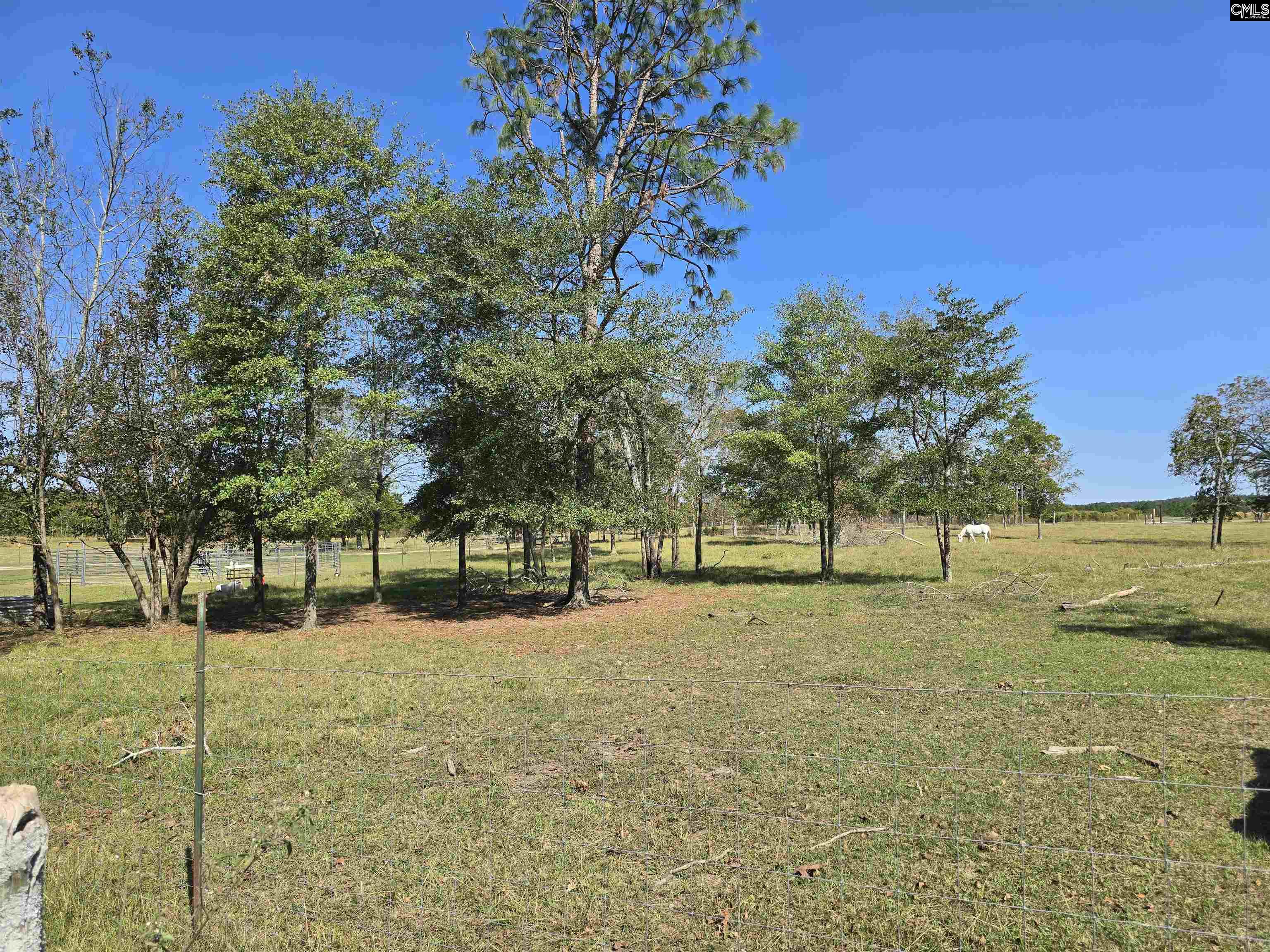 991 Old Chalk Bed Road, Batesburg, South Carolina image 3