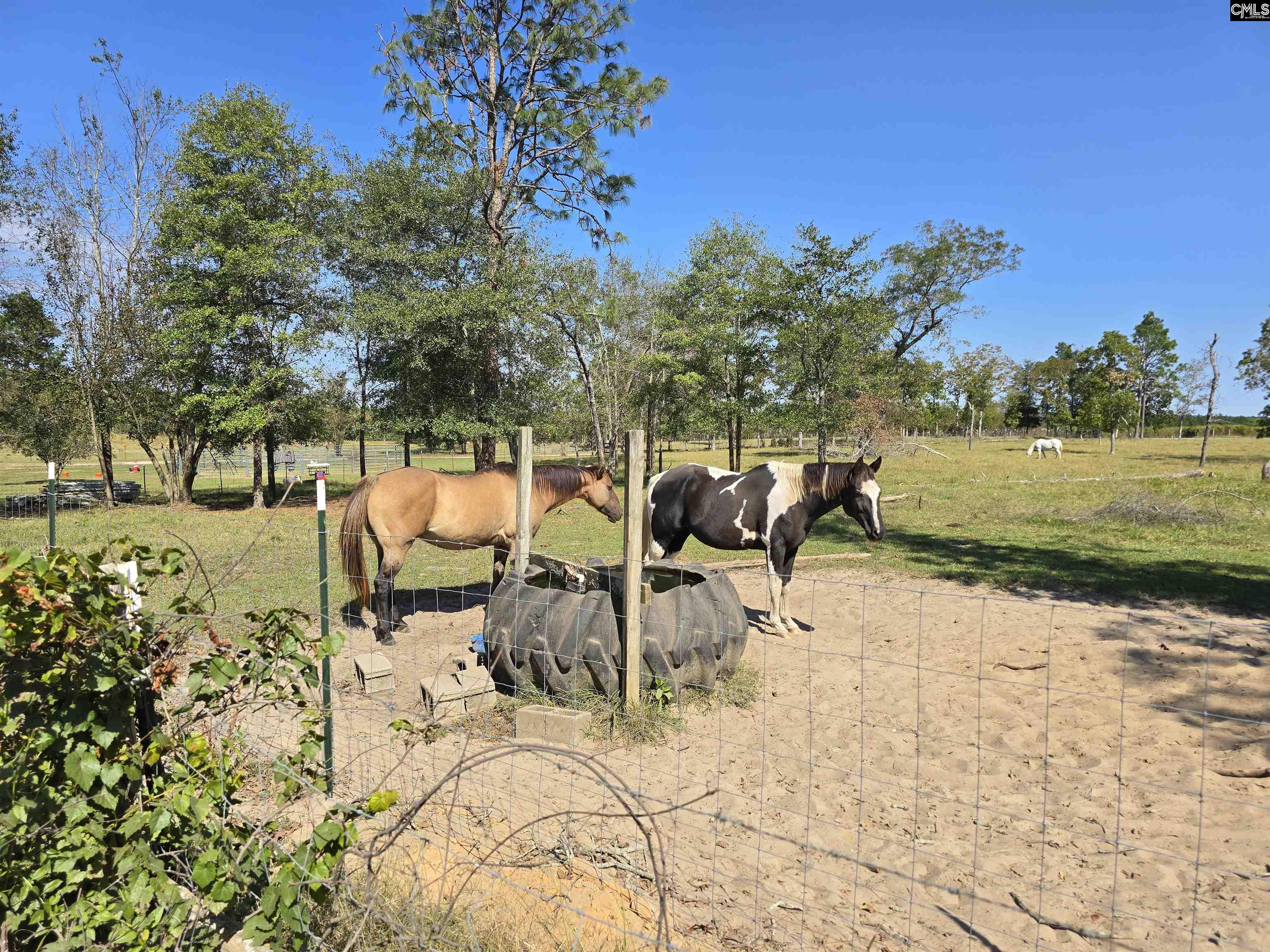 991 Old Chalk Bed Road, Batesburg, South Carolina image 31