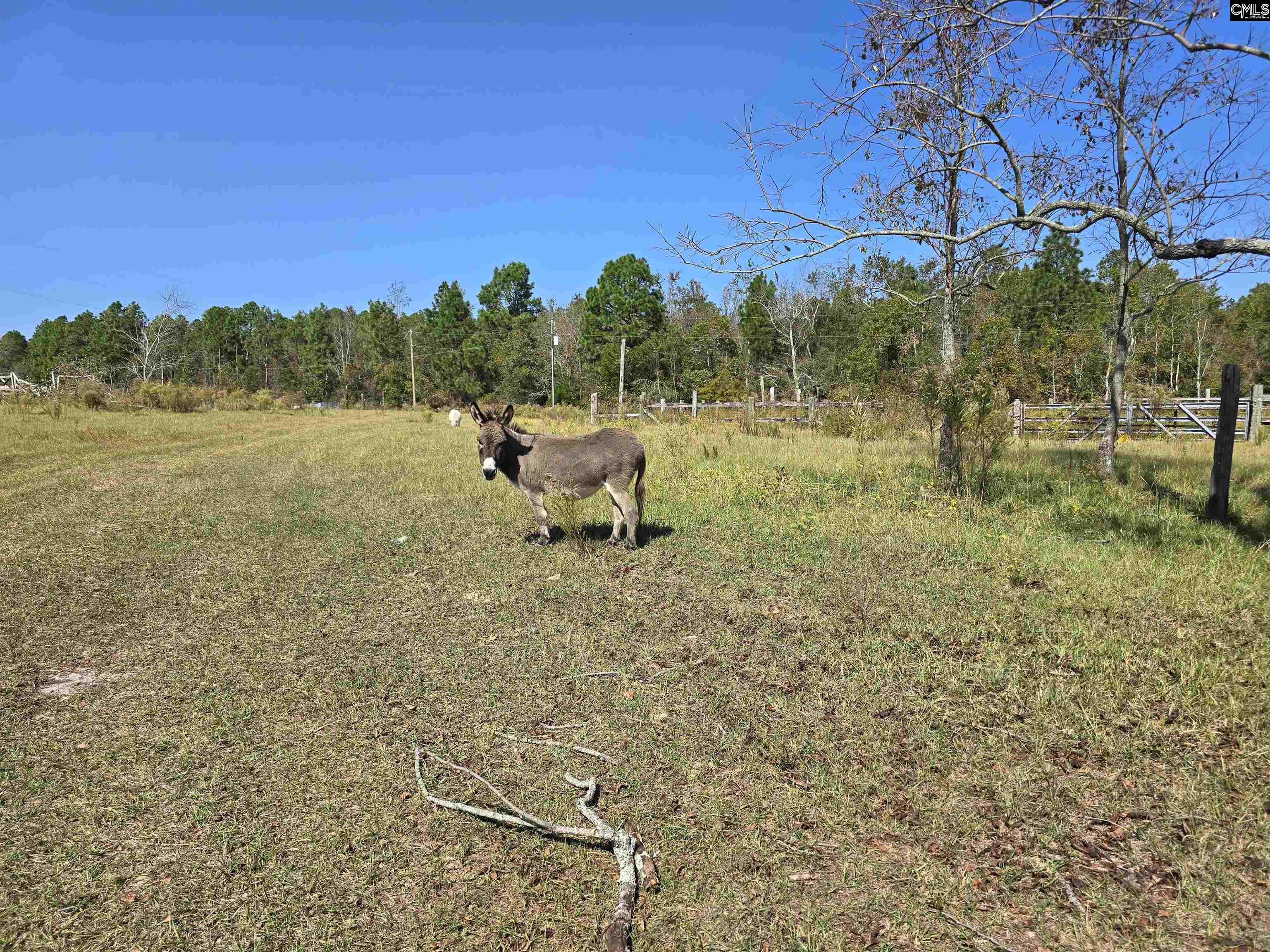 991 Old Chalk Bed Road, Batesburg, South Carolina image 35