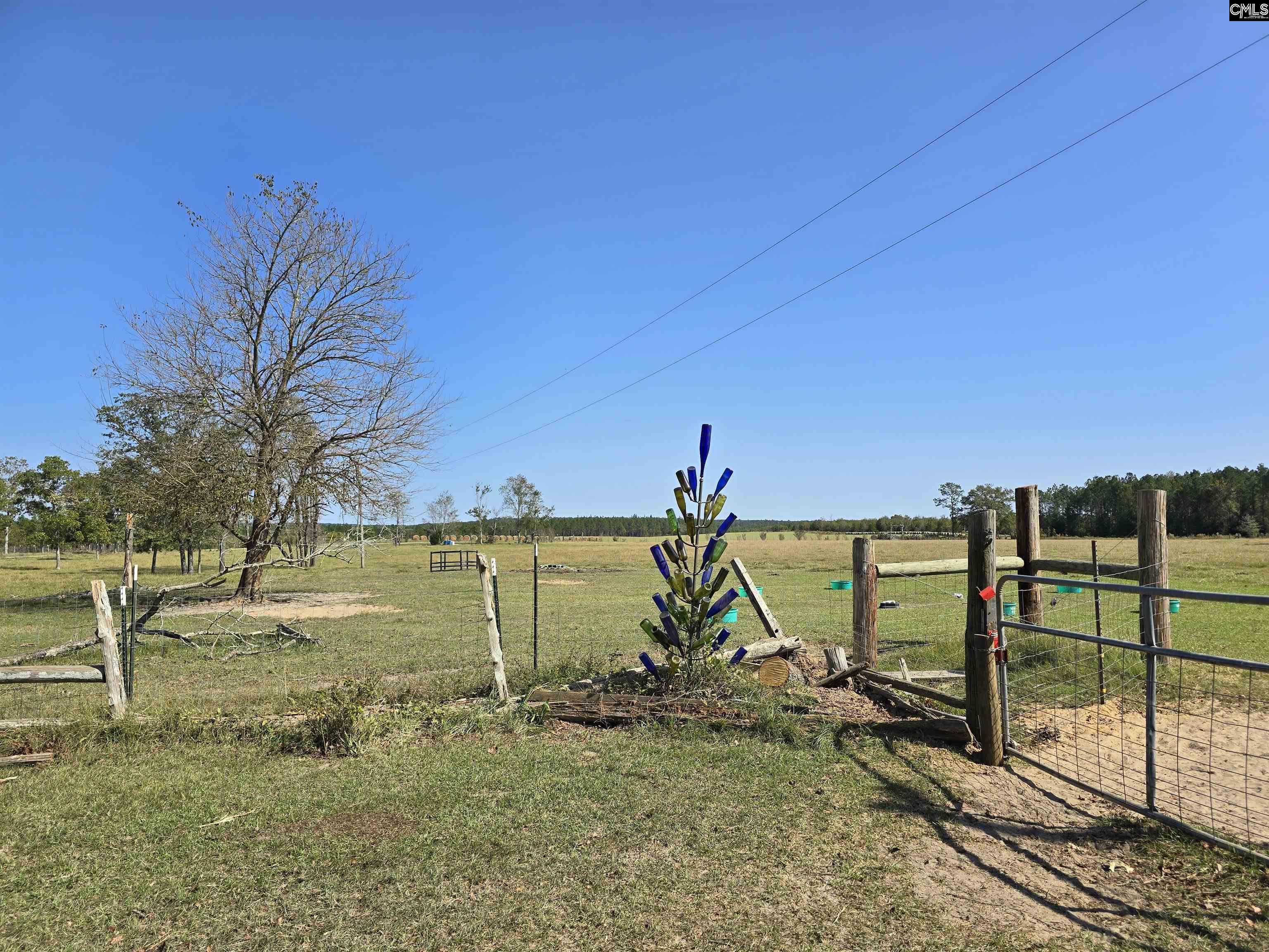 991 Old Chalk Bed Road, Batesburg, South Carolina image 36