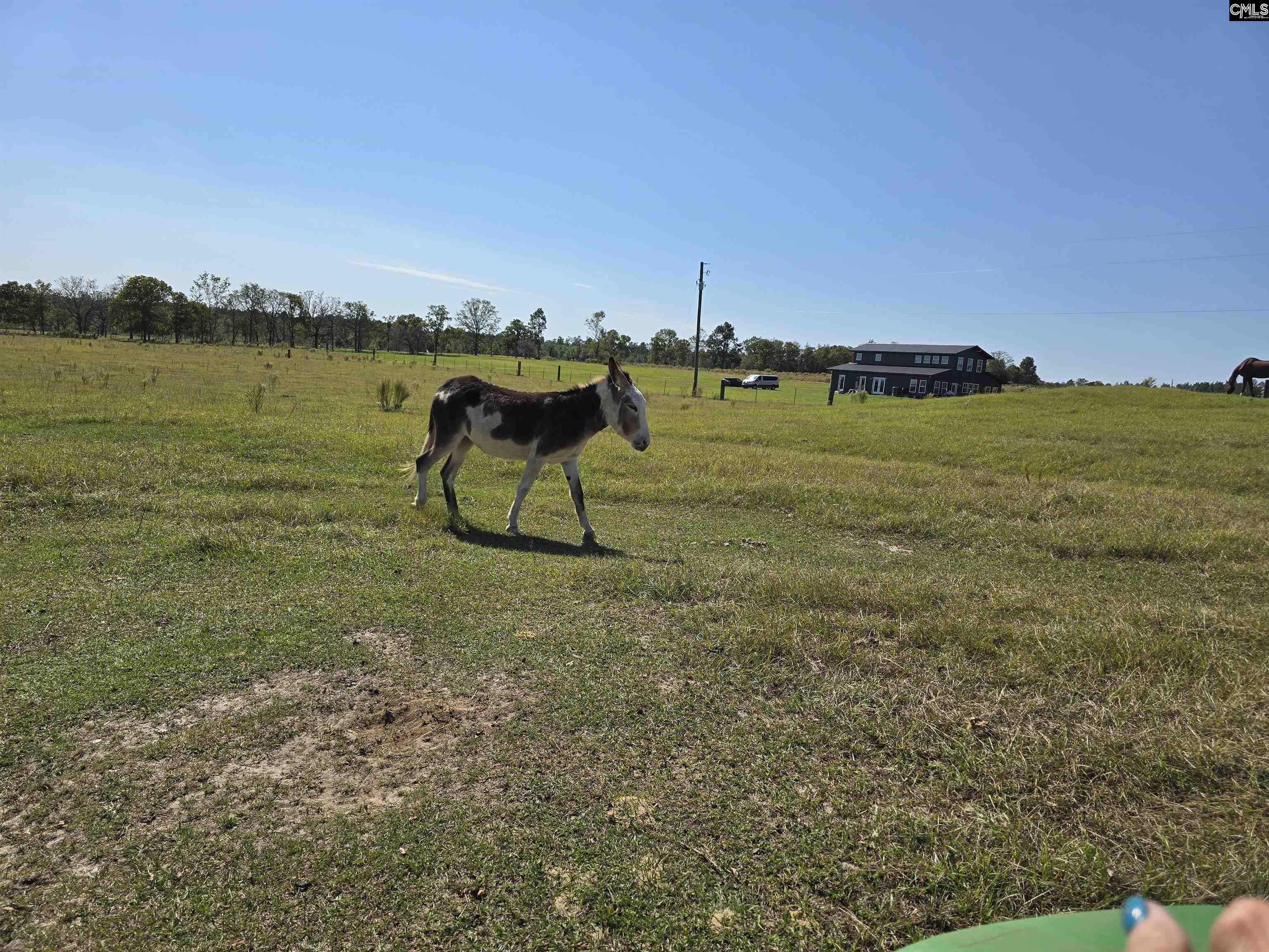 991 Old Chalk Bed Road, Batesburg, South Carolina image 37