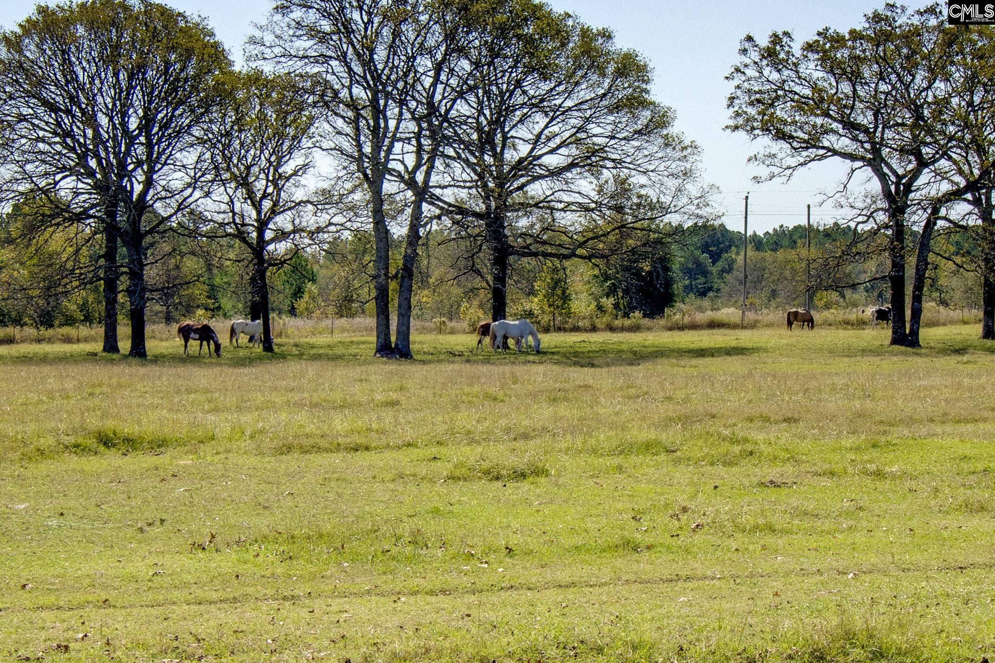 991 Old Chalk Bed Road, Batesburg, South Carolina image 47