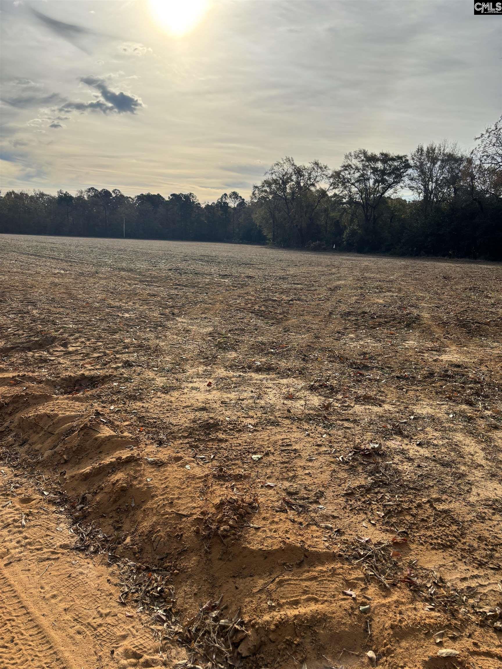 Toole Smith Road, Swansea, South Carolina image 1