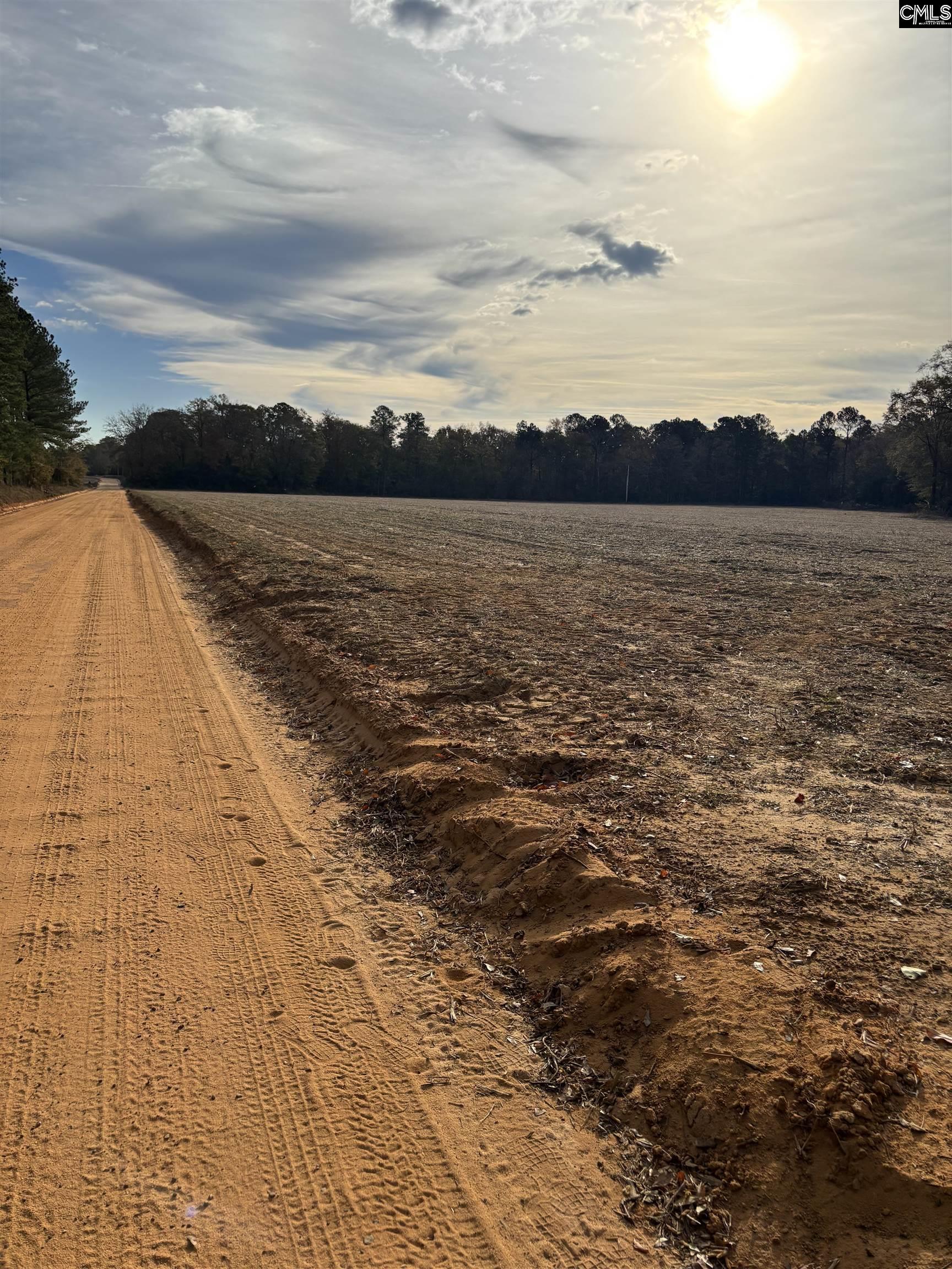 Toole Smith Road, Swansea, South Carolina image 2