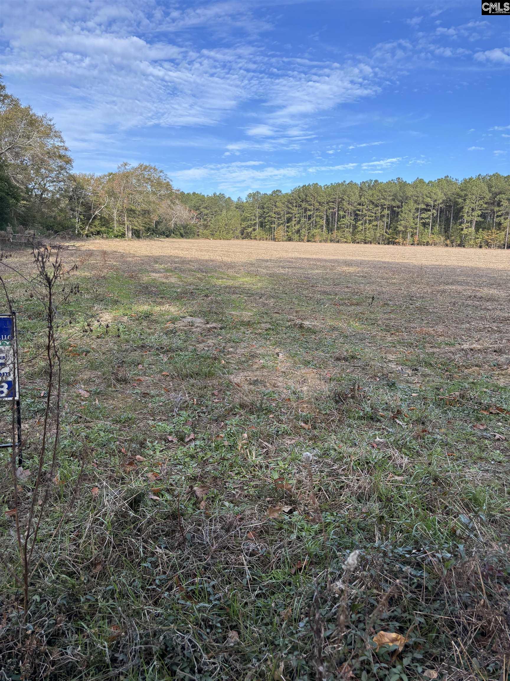 Toole Smith Road, Swansea, South Carolina image 3