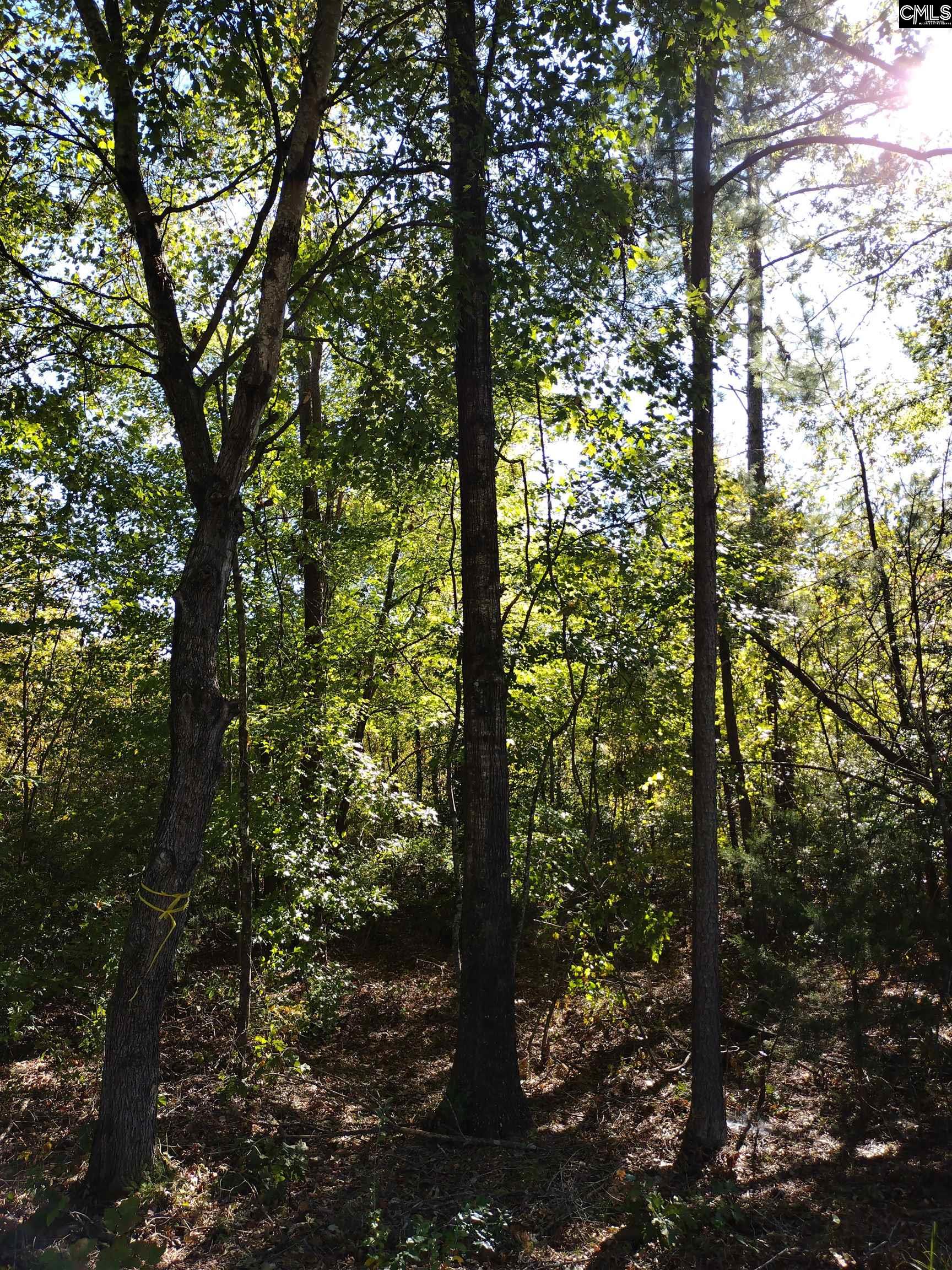 TBD Sam Koon Road, Little Mountain, South Carolina image 2