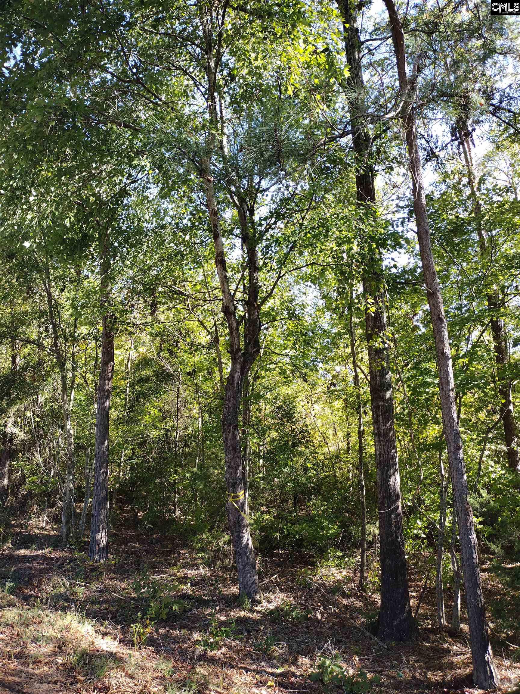 TBD Sam Koon Road, Little Mountain, South Carolina image 3