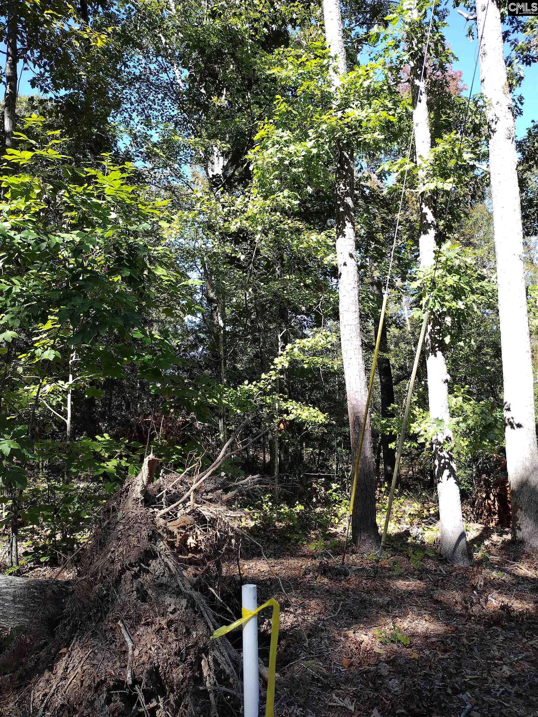TBD Sam Koon Road, Little Mountain, South Carolina image 8
