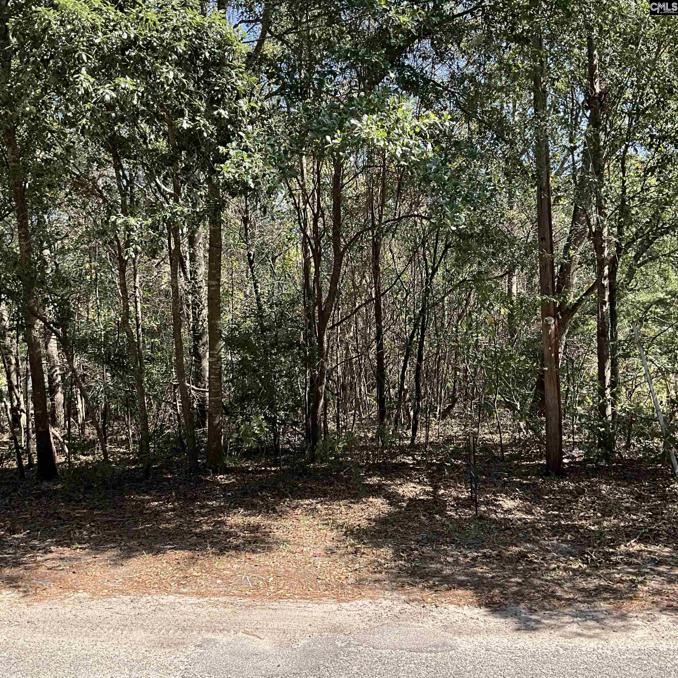 Carlisle Street Gaston, SC 29053