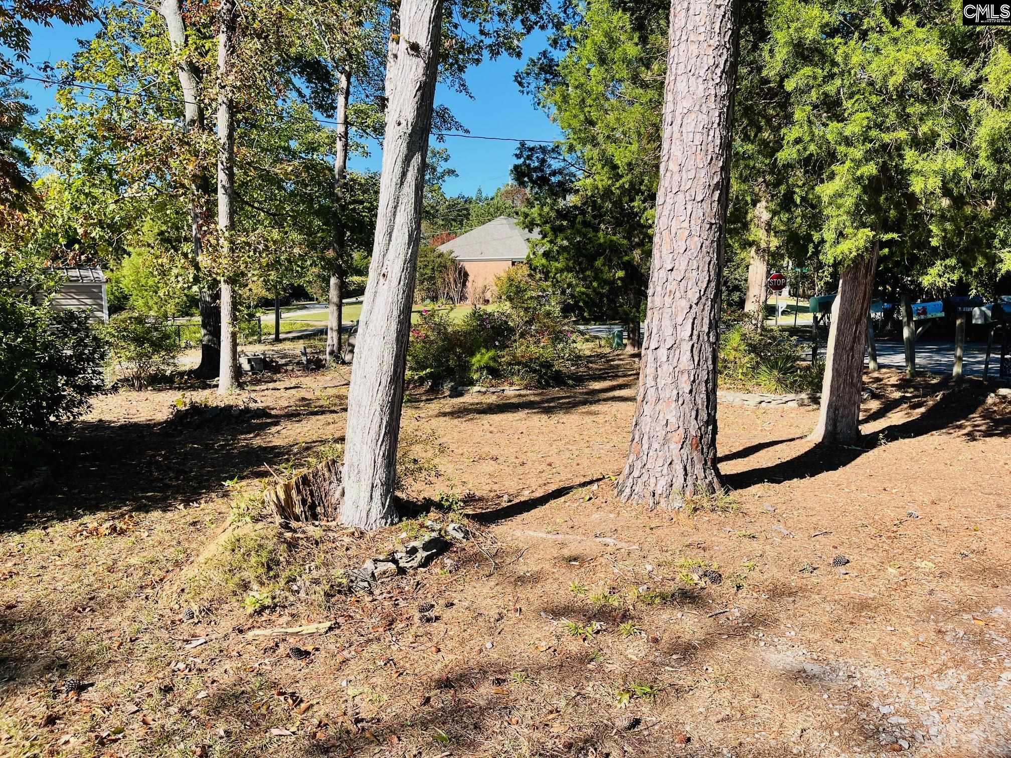 104 Linda Drive, Leesville, South Carolina image 15