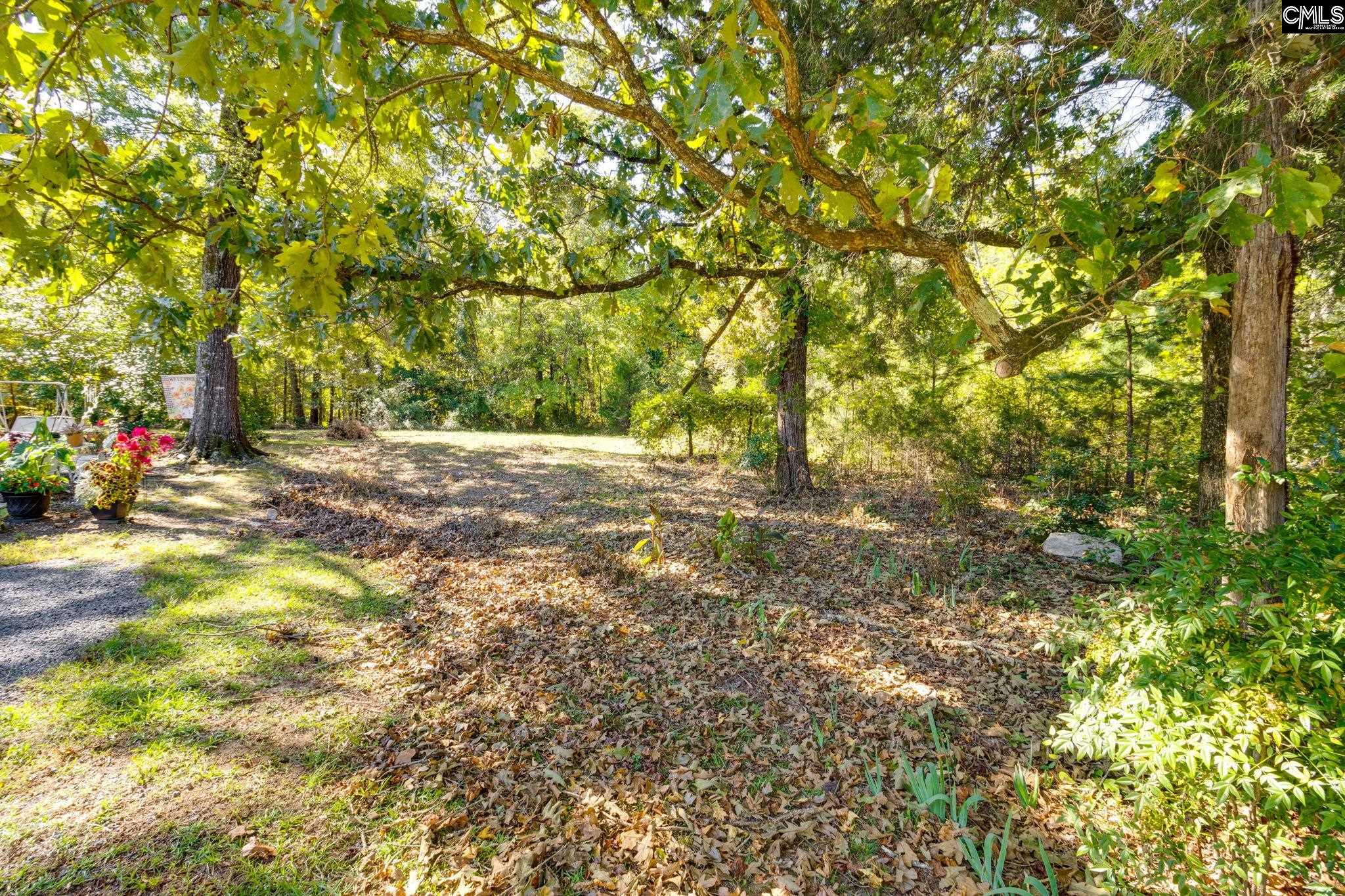 161 Chapin Road Chapin, SC 29036
