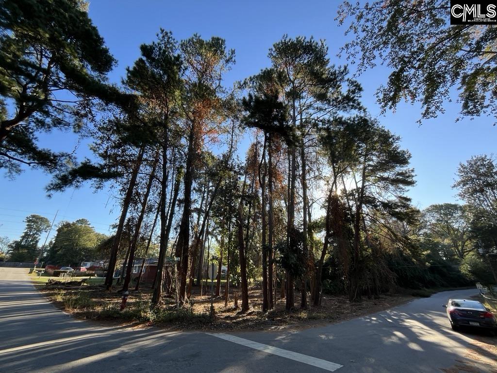 Woodfield Drive Columbia, SC 29223