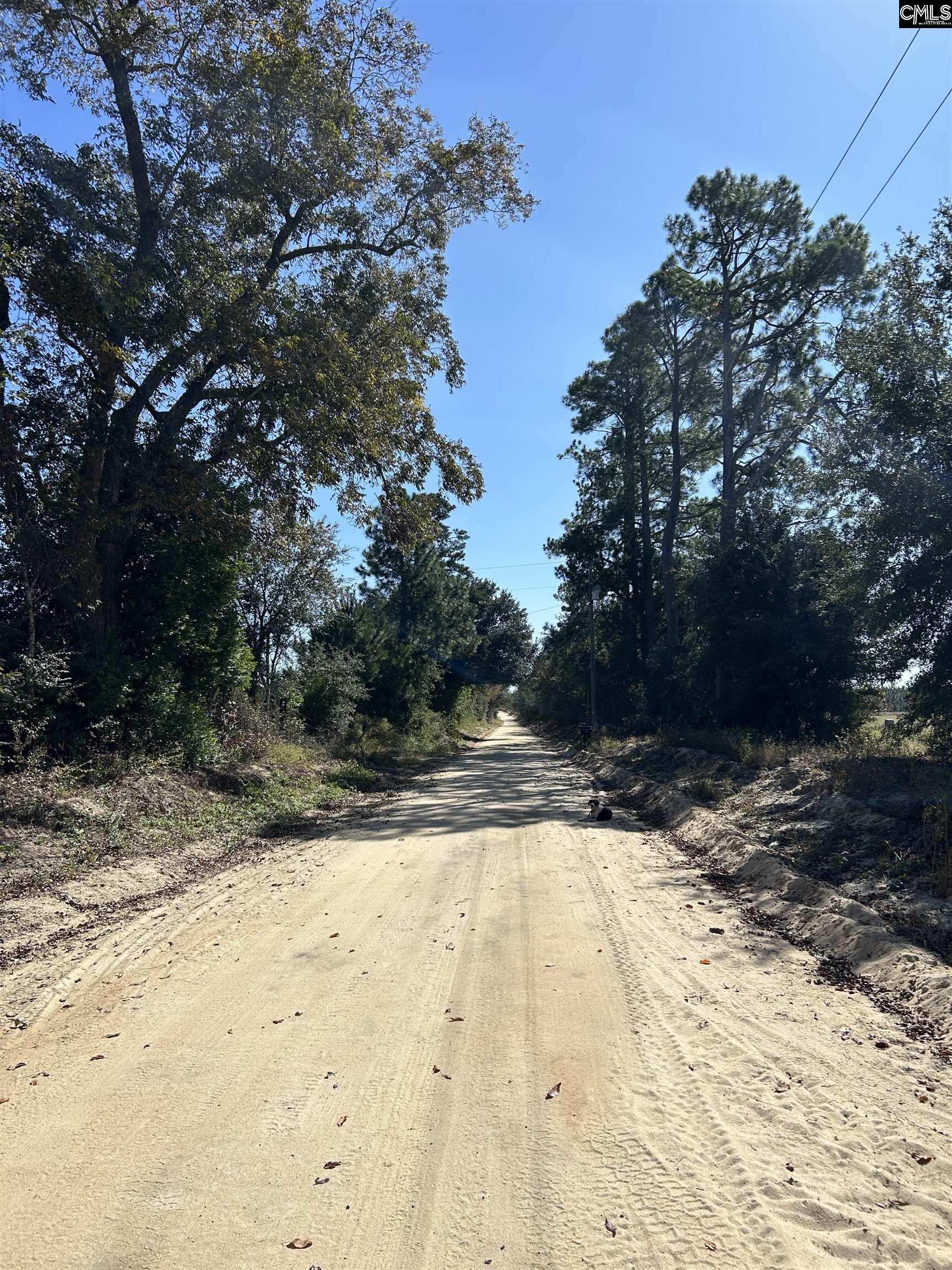 TBD Widow Johnson Road, Hartsville, South Carolina image 11