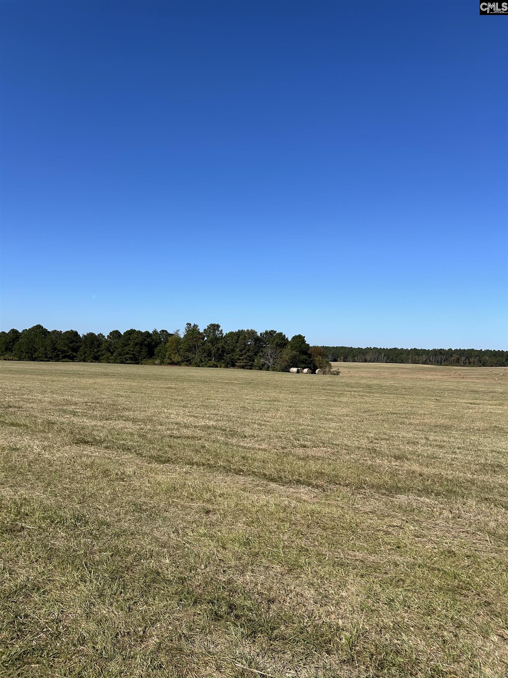 TBD Widow Johnson Road, Hartsville, South Carolina image 4
