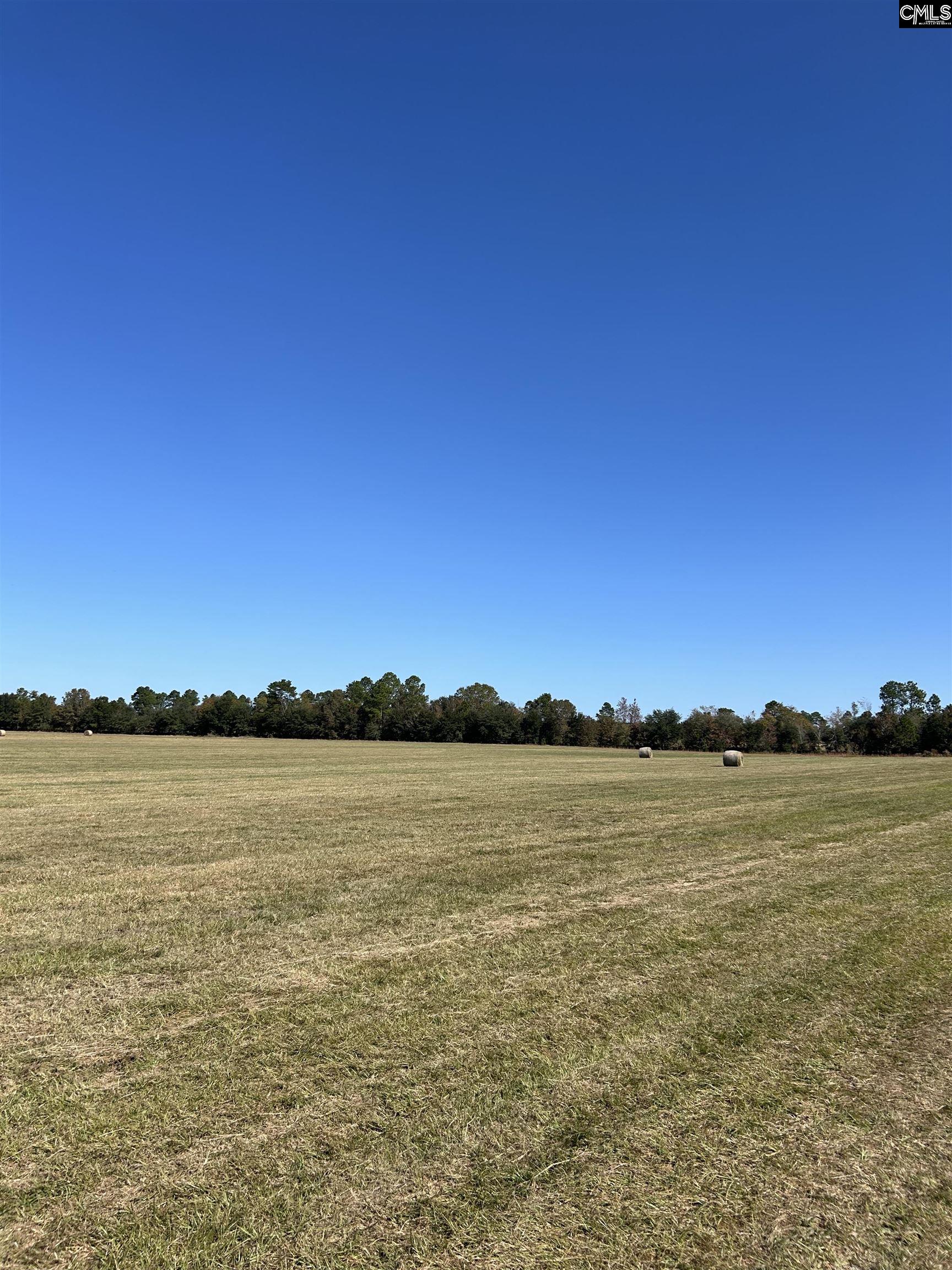 TBD Widow Johnson Road, Hartsville, South Carolina image 6