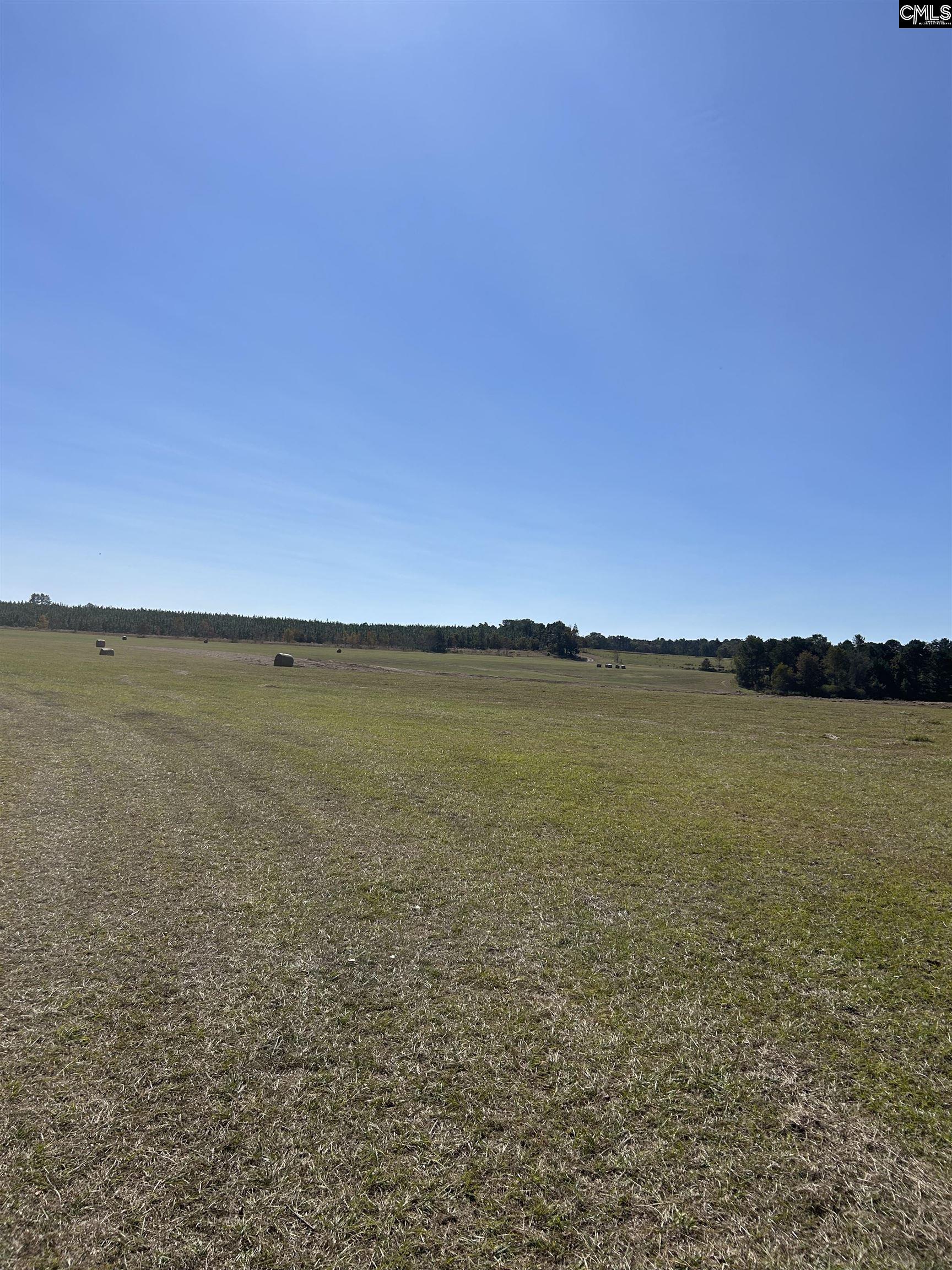 TBD Widow Johnson Road, Hartsville, South Carolina image 8