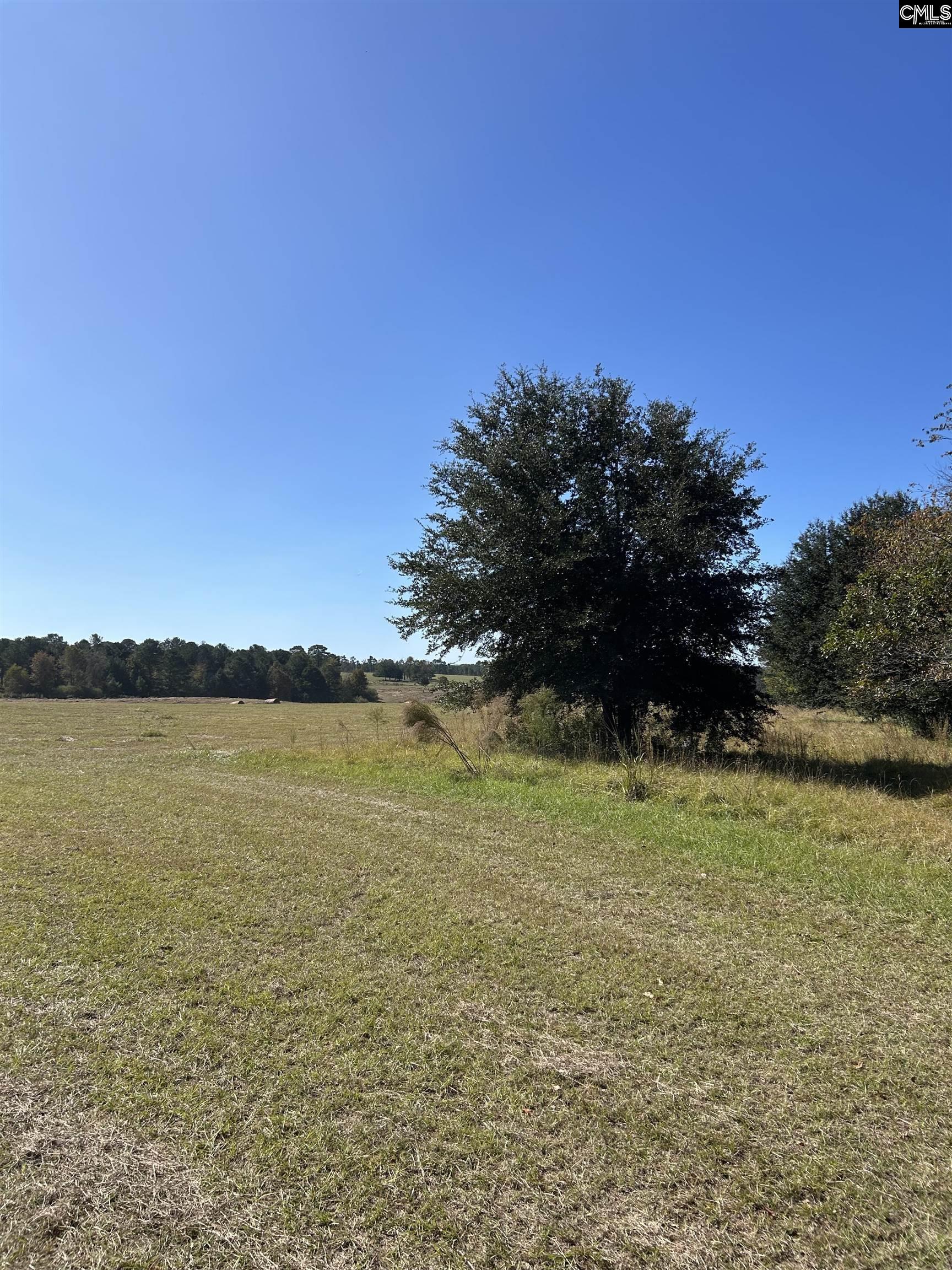TBD Widow Johnson Road, Hartsville, South Carolina image 9