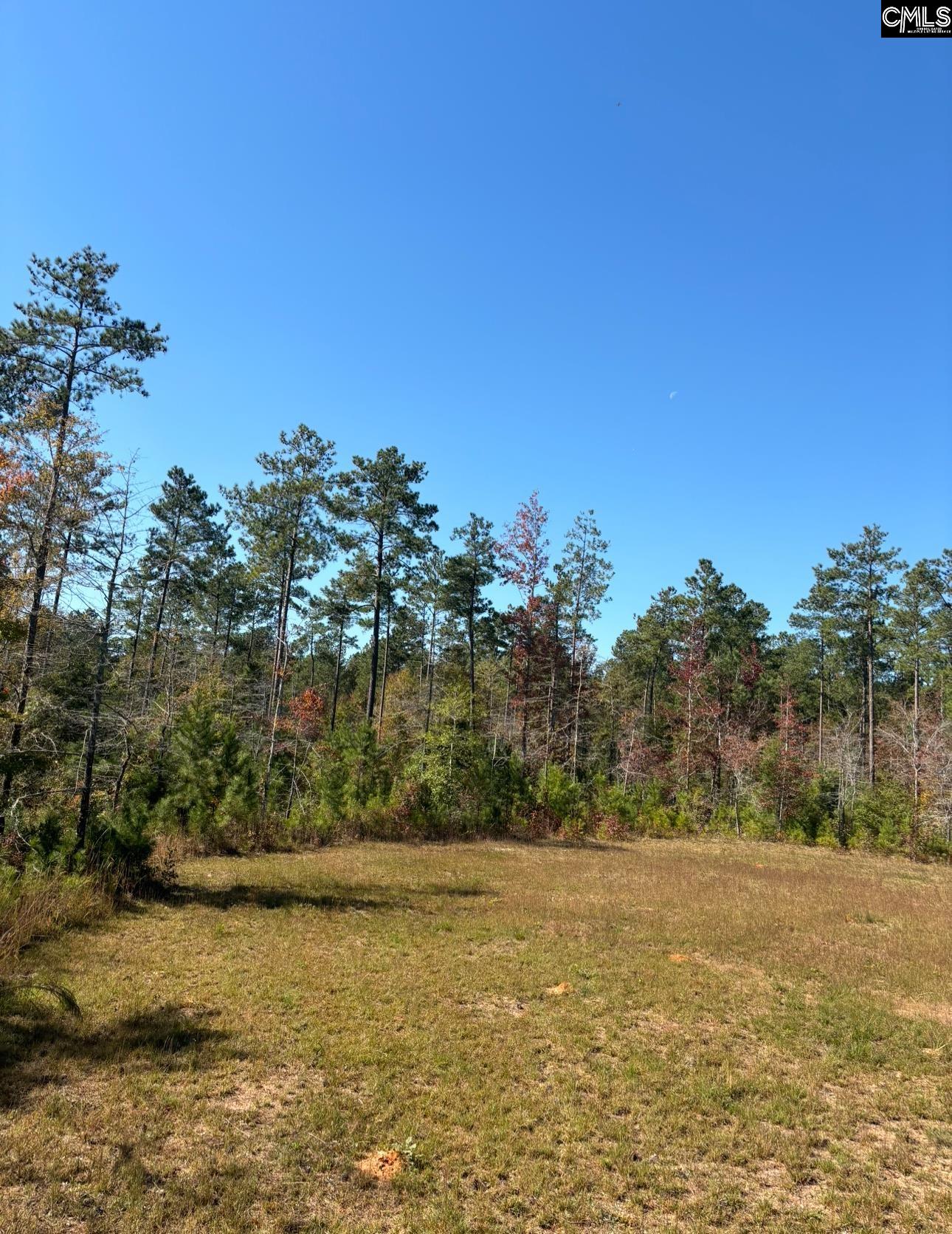 203 Legend Drive, Saluda, South Carolina image 1