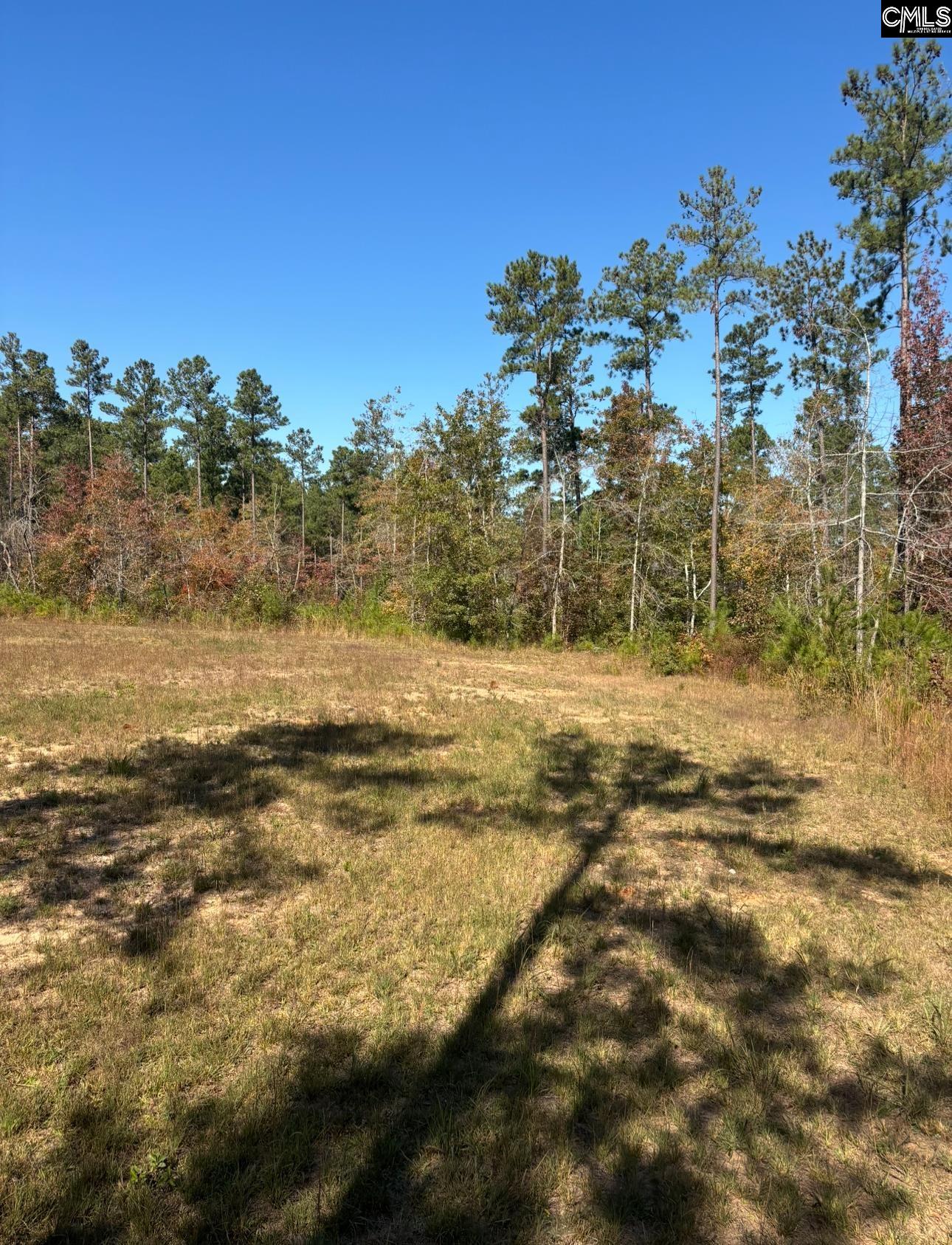 203 Legend Drive, Saluda, South Carolina image 2