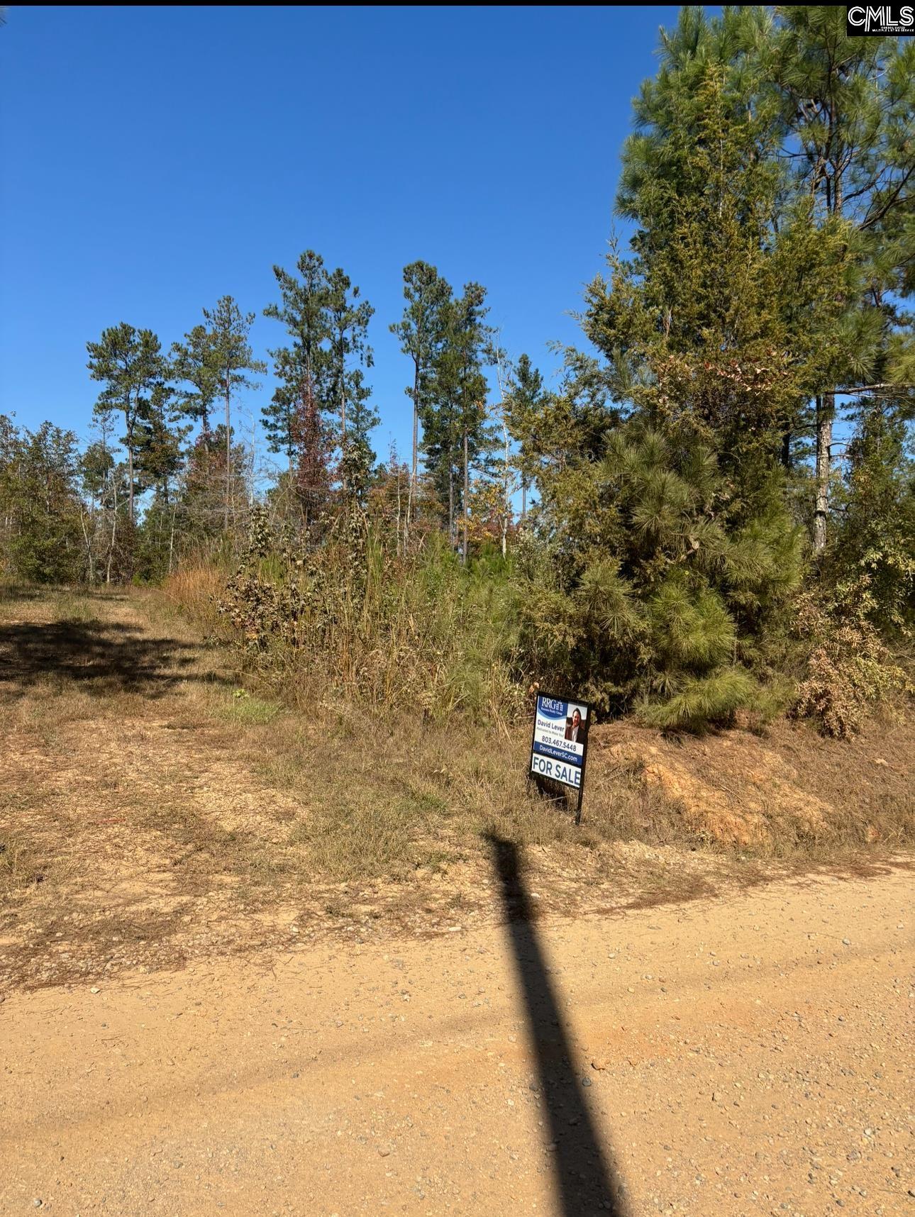 203 Legend Drive, Saluda, South Carolina image 3
