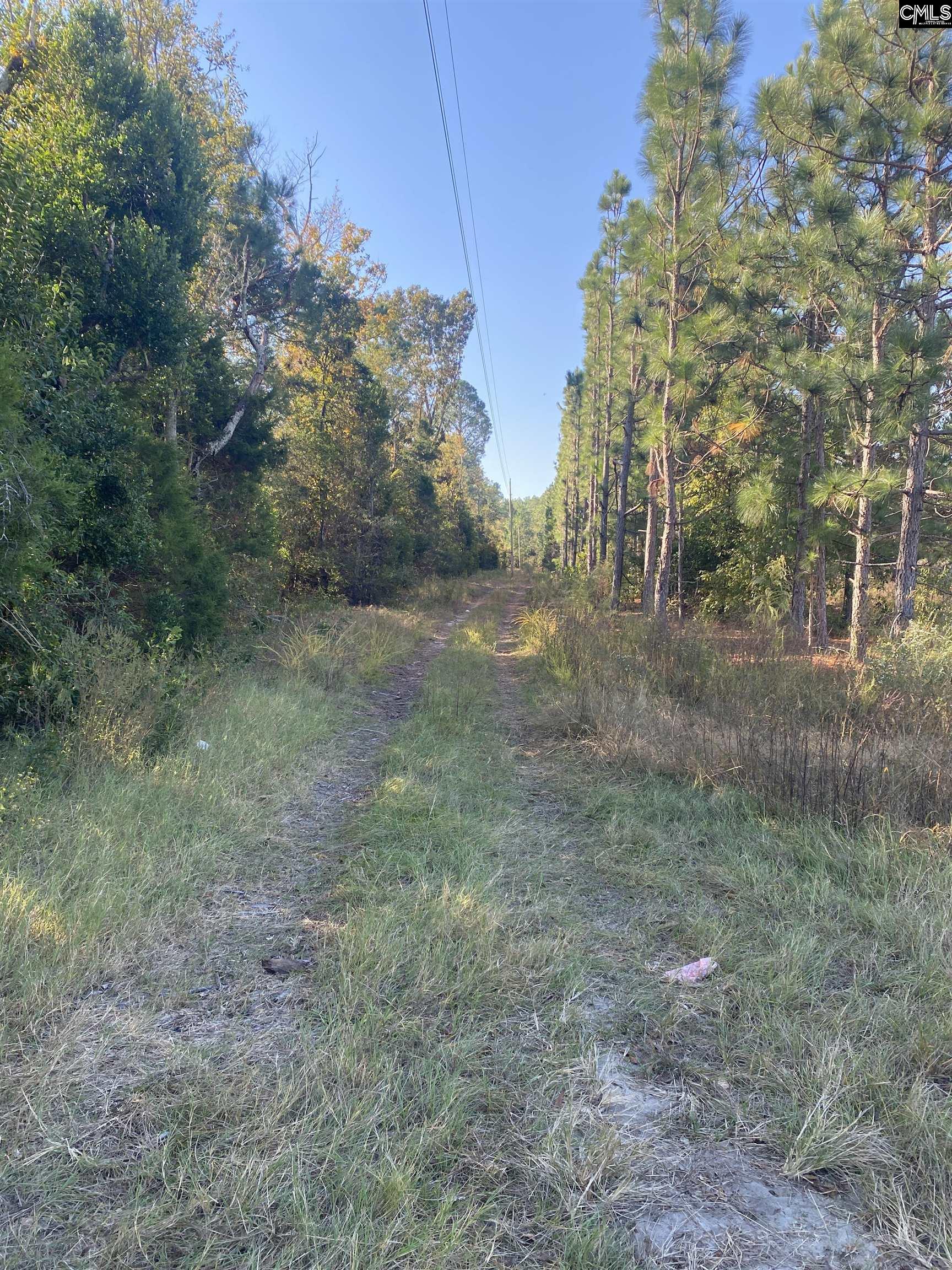 Pond Branch Road Gilbert, SC 29054