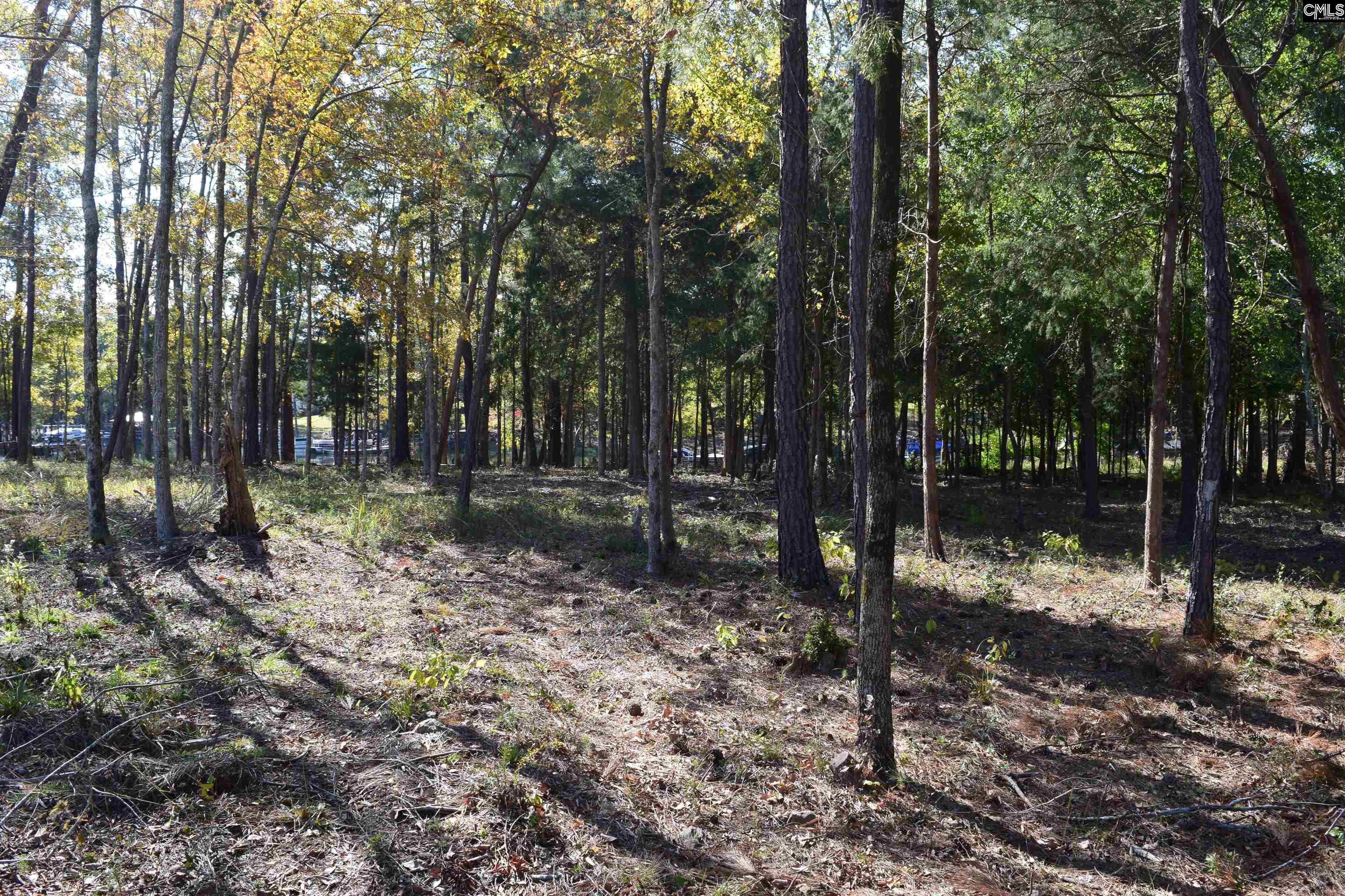 934 Salisbury Court UNIT #56 Chapin, SC 29036