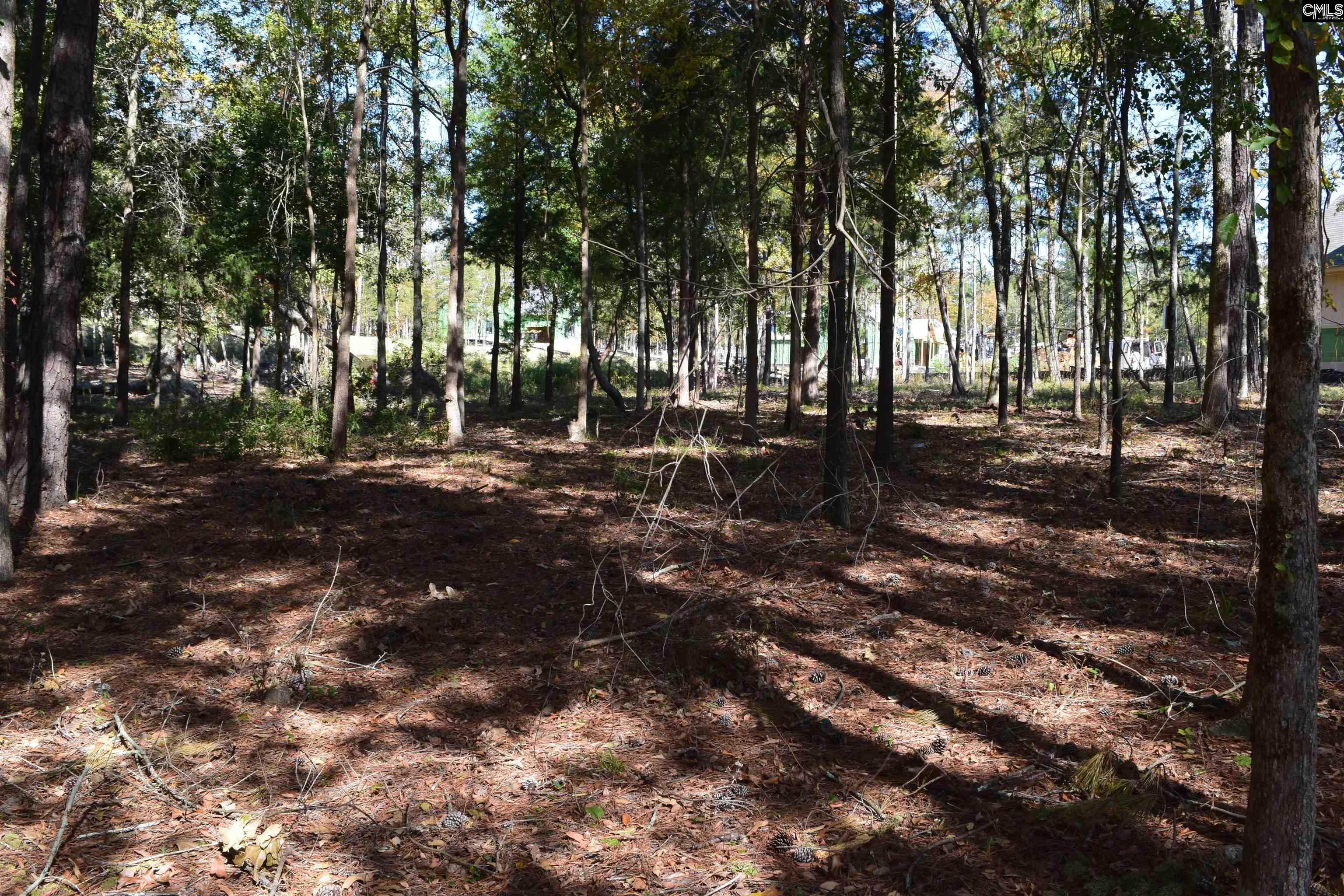 934 Salisbury Court UNIT #56 Chapin, SC 29036