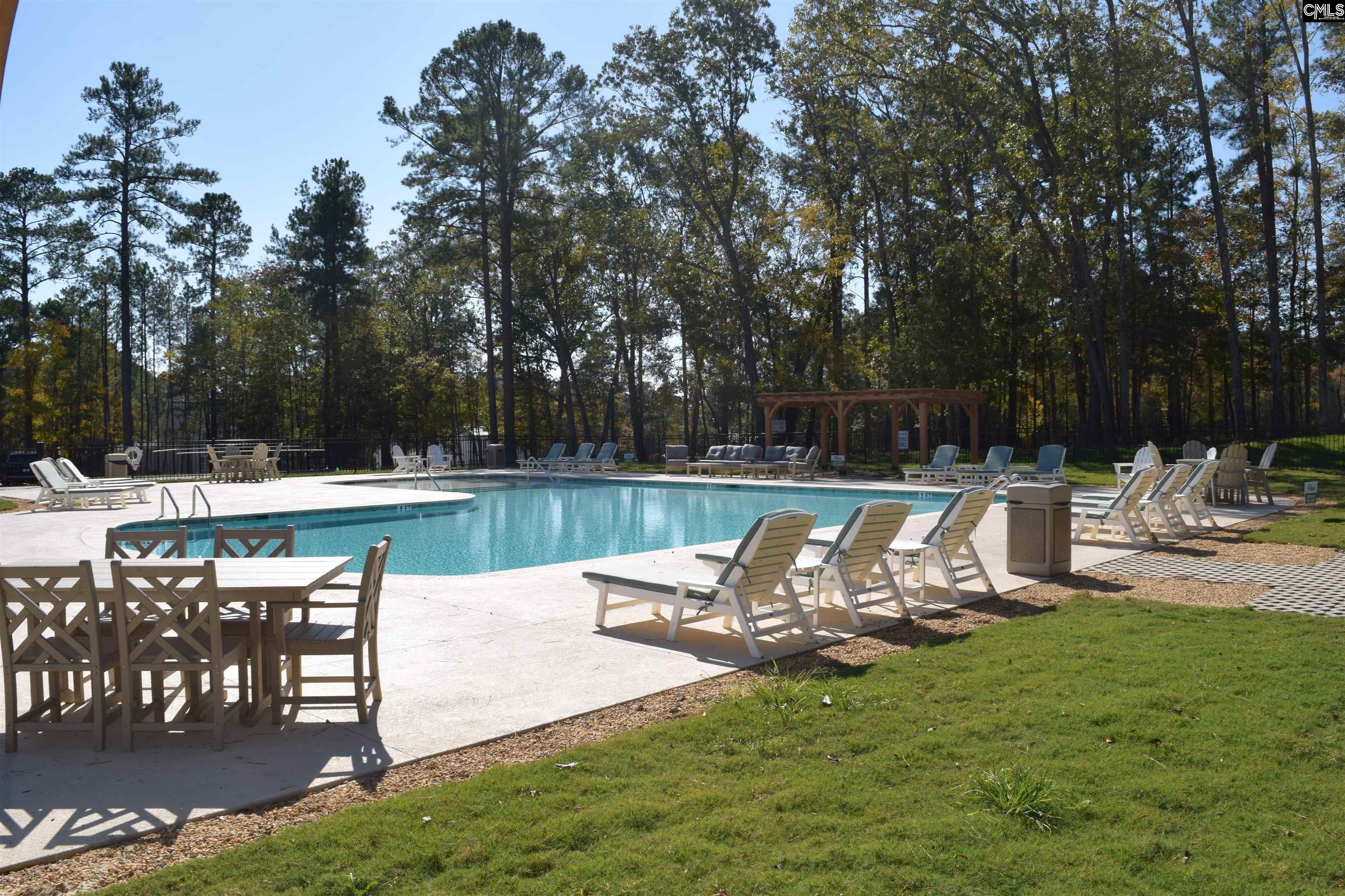 934 Salisbury Court UNIT #56 Chapin, SC 29036