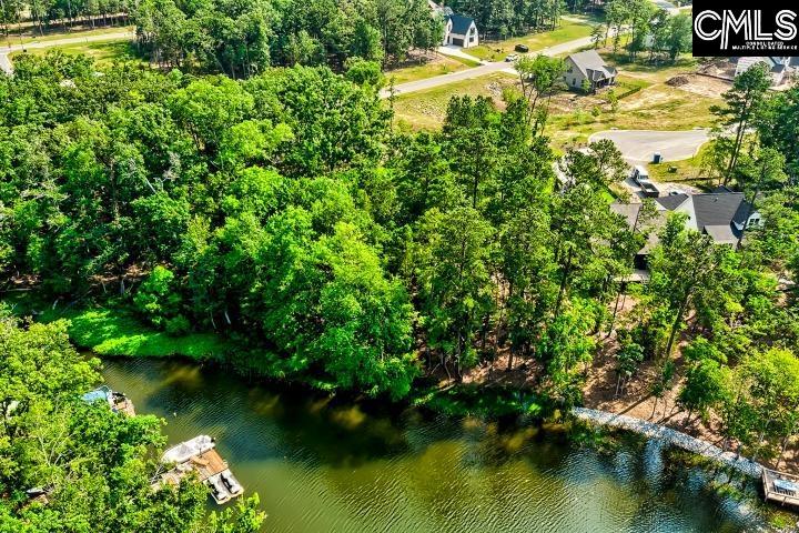934 Salisbury Court UNIT #56 Chapin, SC 29036