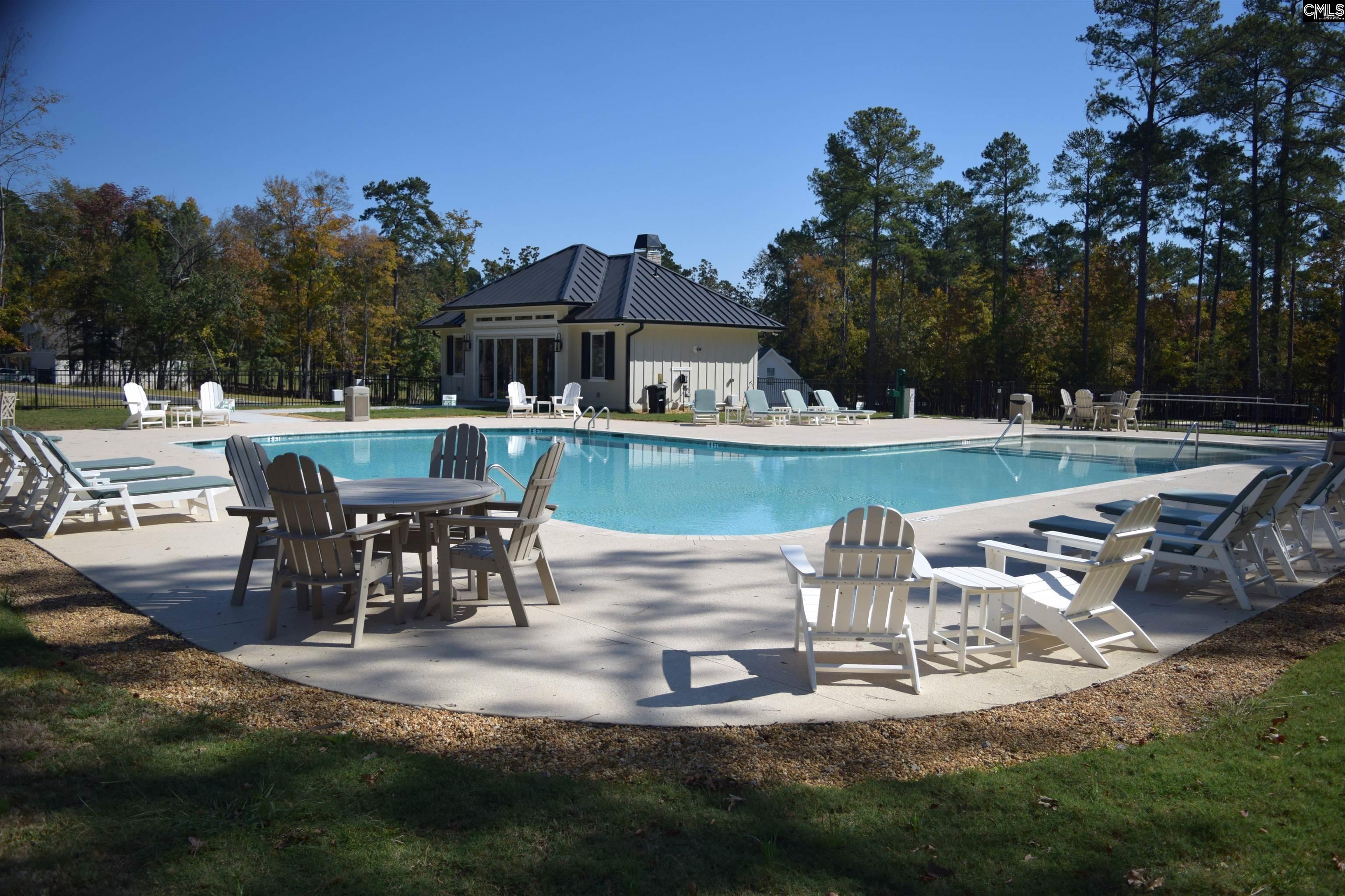 934 Salisbury Court UNIT #56 Chapin, SC 29036
