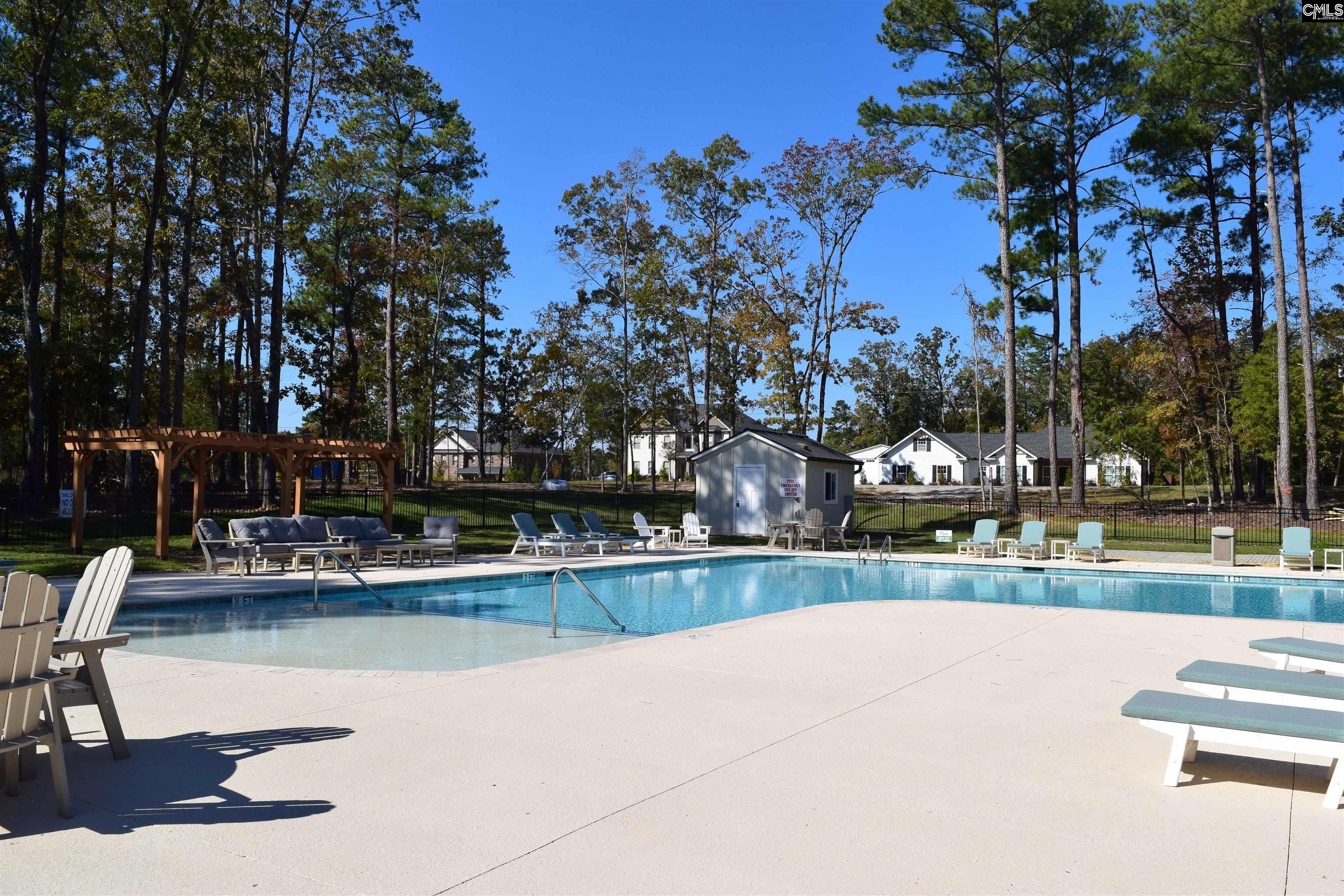 934 Salisbury Court UNIT #56 Chapin, SC 29036