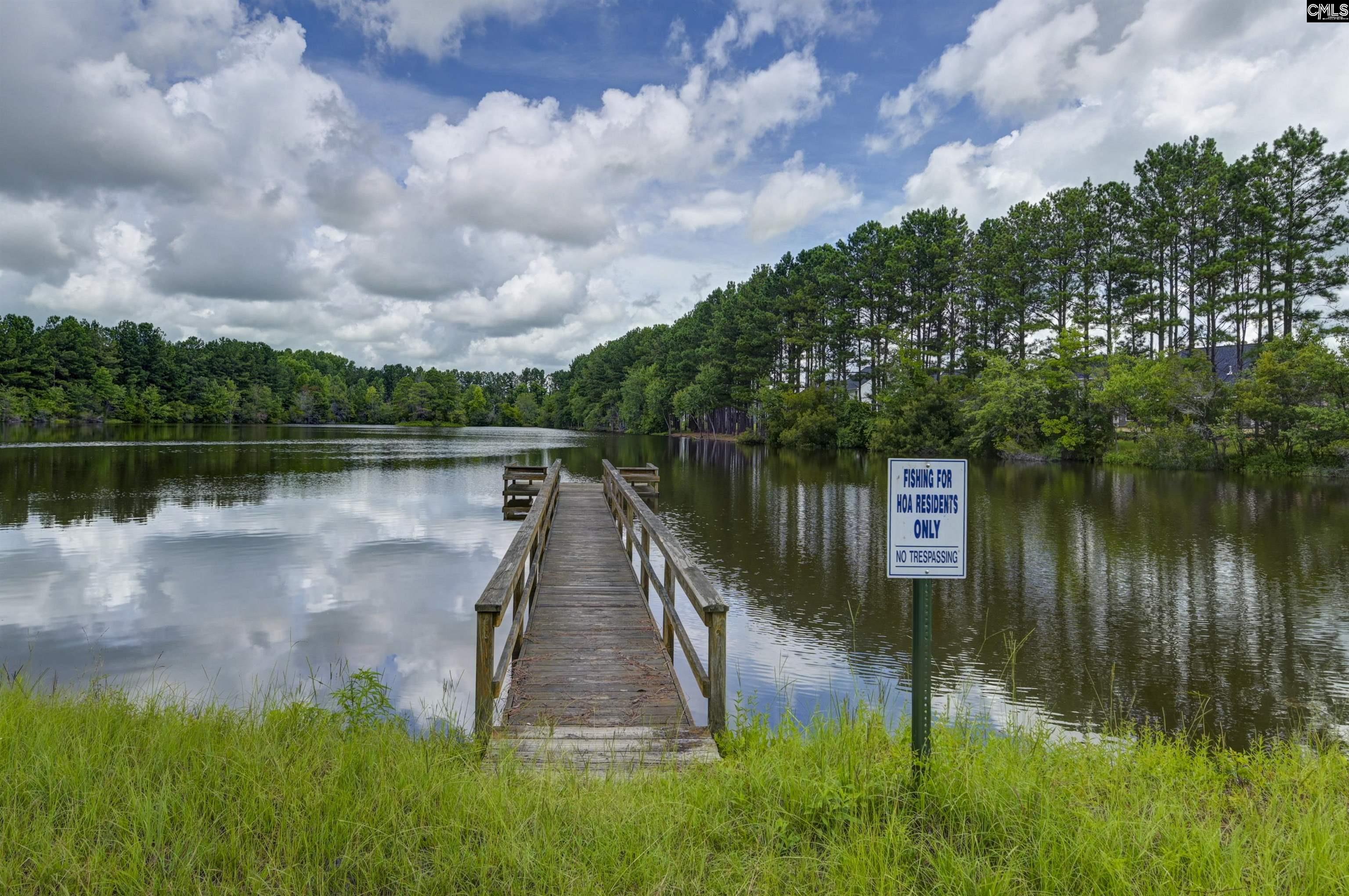 375 Autumn Pond Drive Blythewood, SC 29016