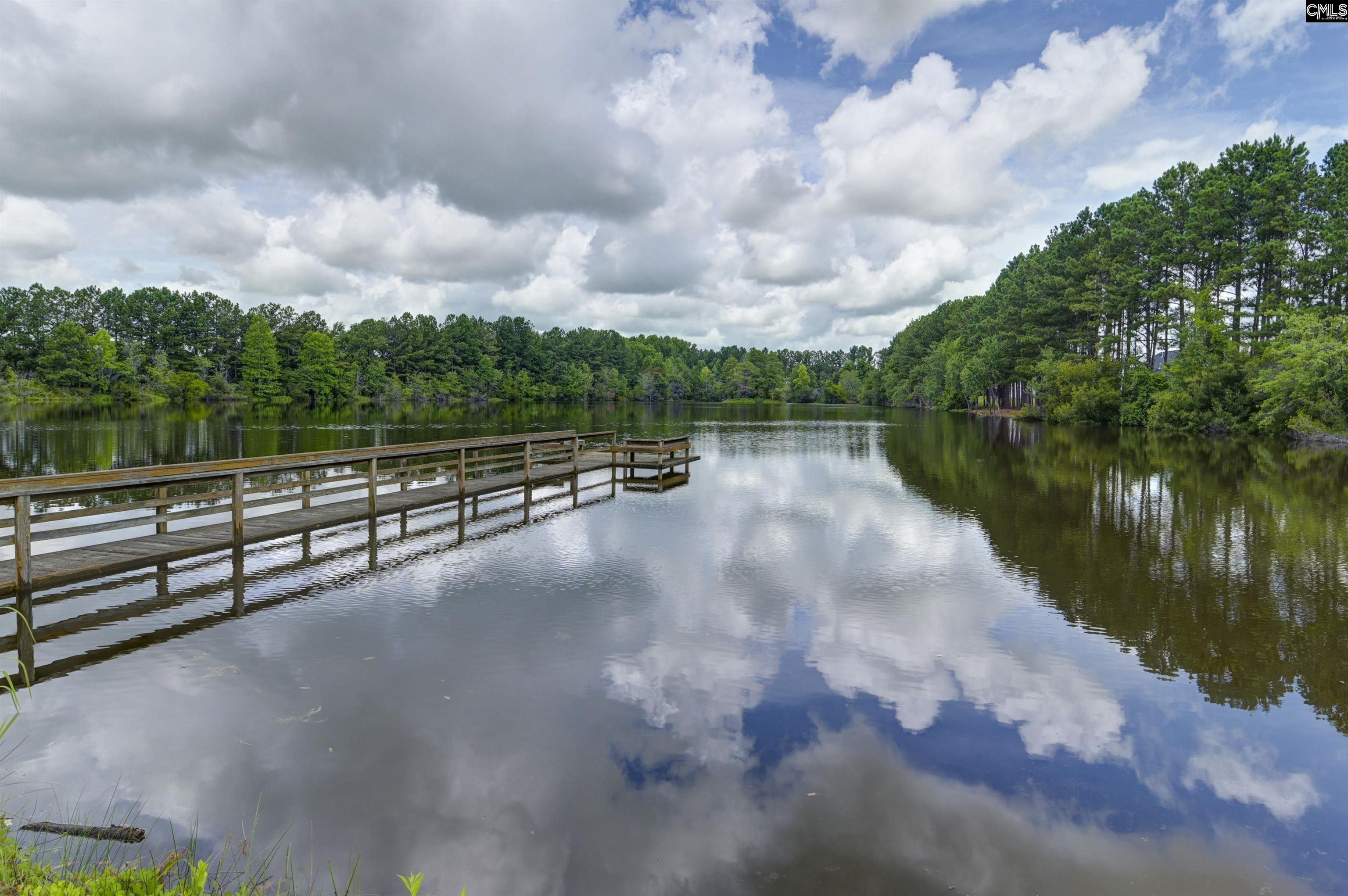 375 Autumn Pond Drive Blythewood, SC 29016