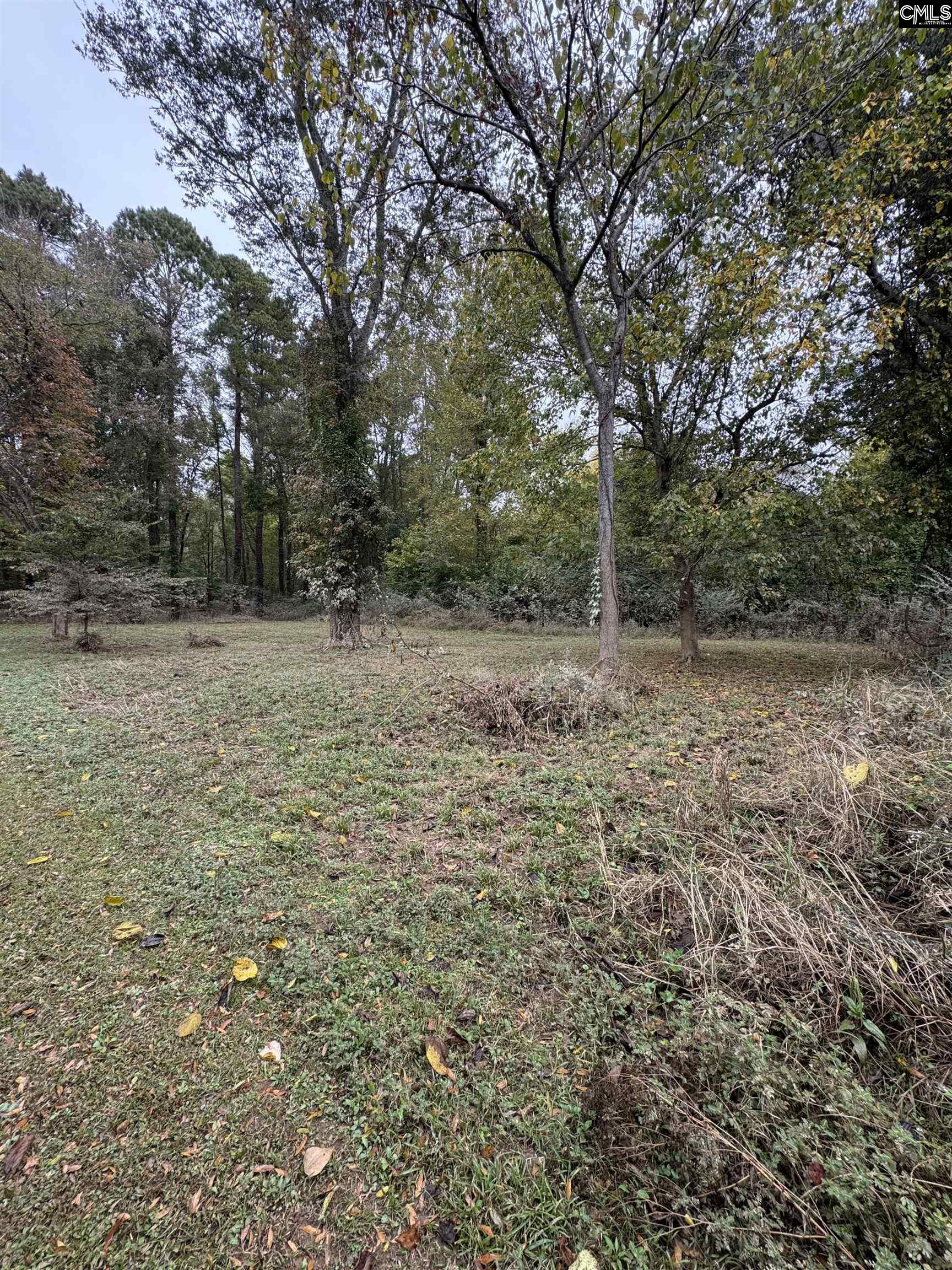 157 Wild Turkey Lane Camden, SC 29020