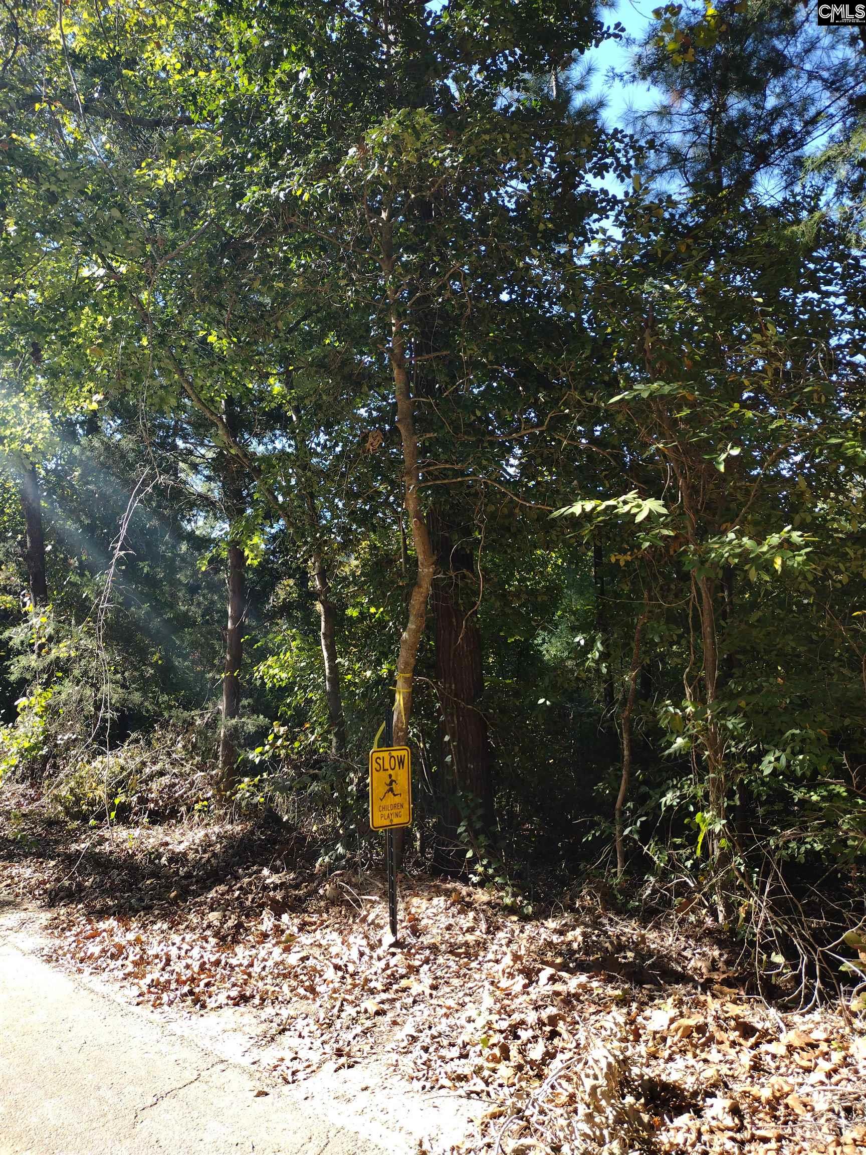 TBD Sam Koon Road, Little Mountain, South Carolina image 11