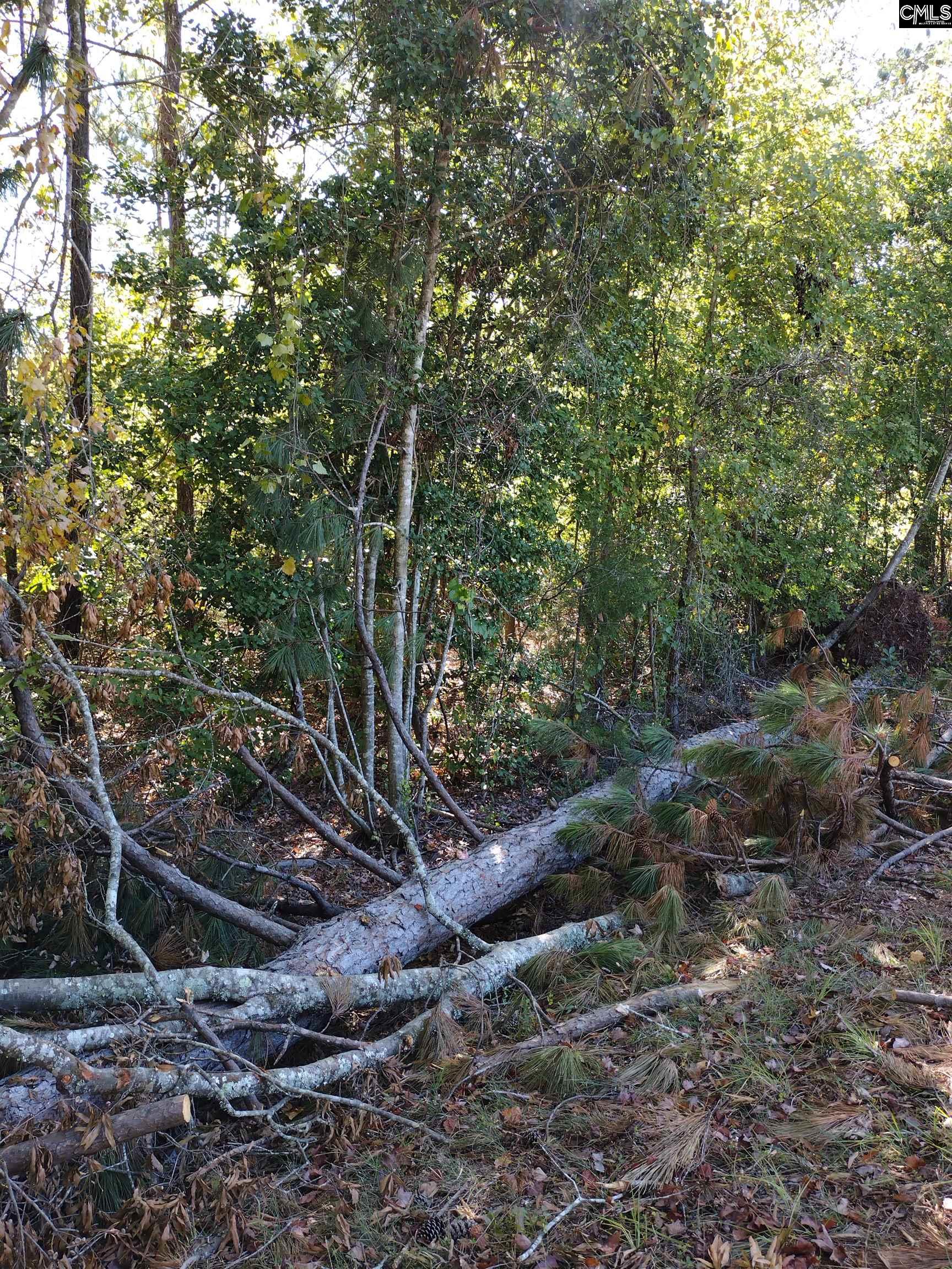 TBD Sam Koon Road, Little Mountain, South Carolina image 5