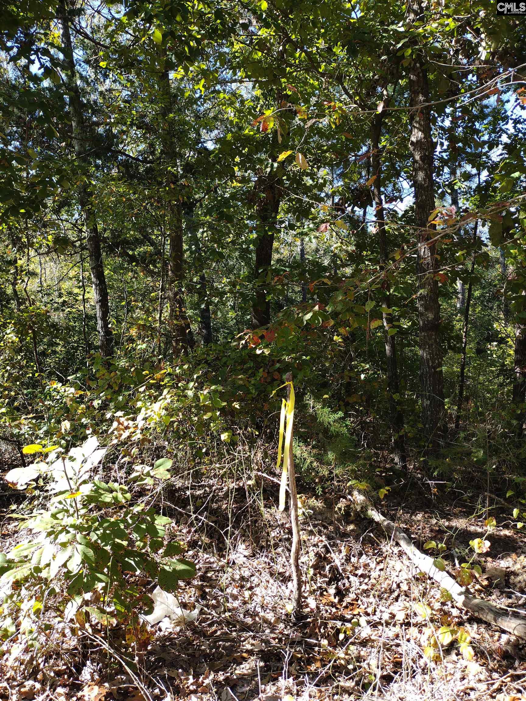 TBD Sam Koon Road, Little Mountain, South Carolina image 7