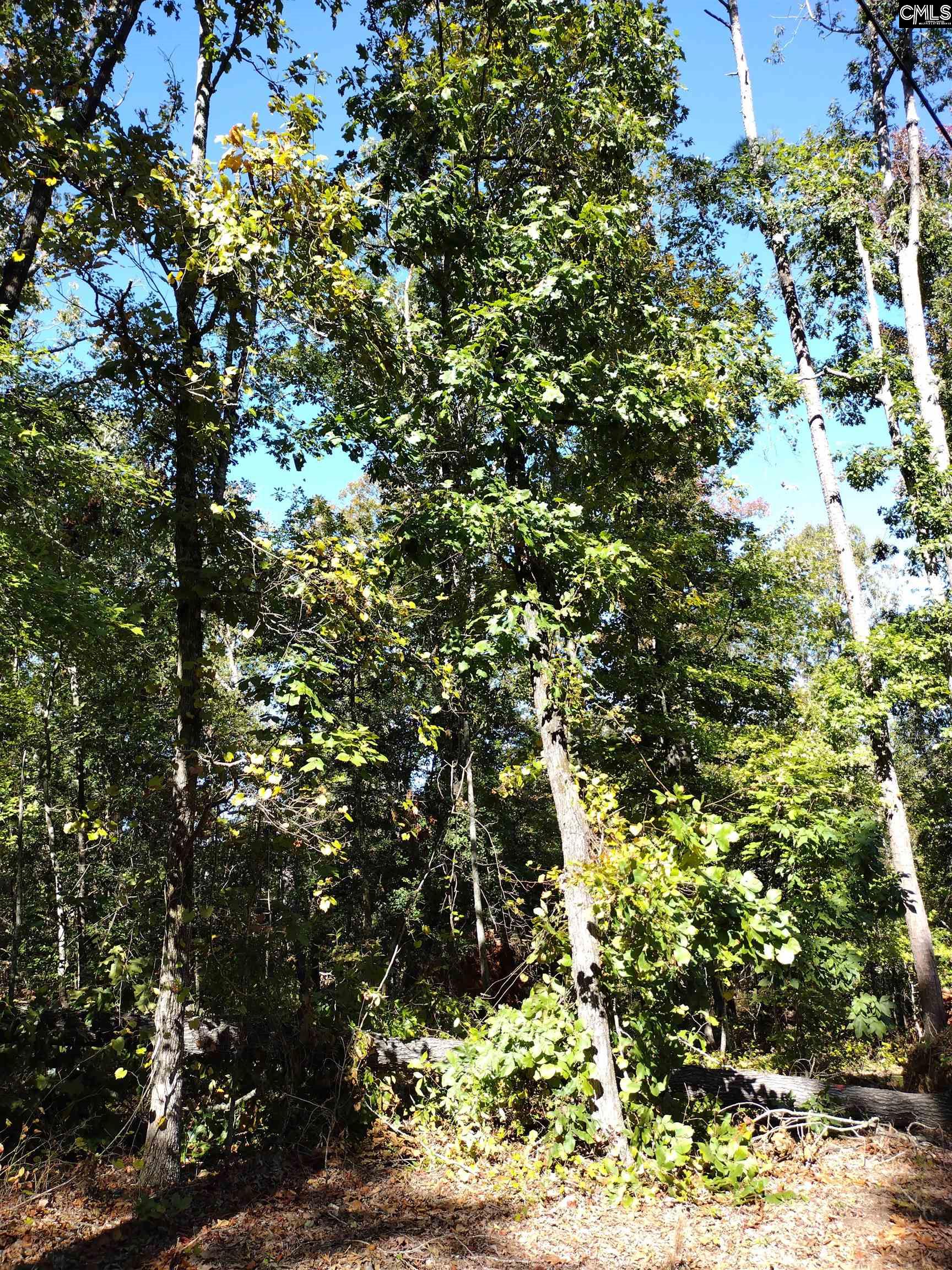 TBD Sam Koon Road, Little Mountain, South Carolina image 10