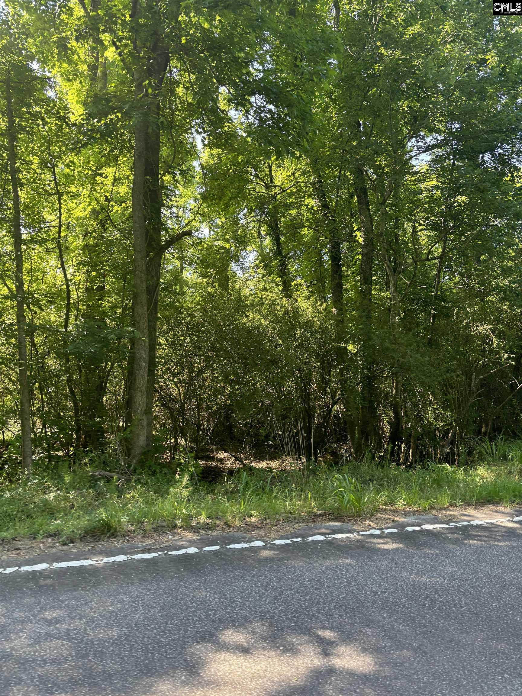 Black River Road UNIT Lot 2 Rembert, SC 29128