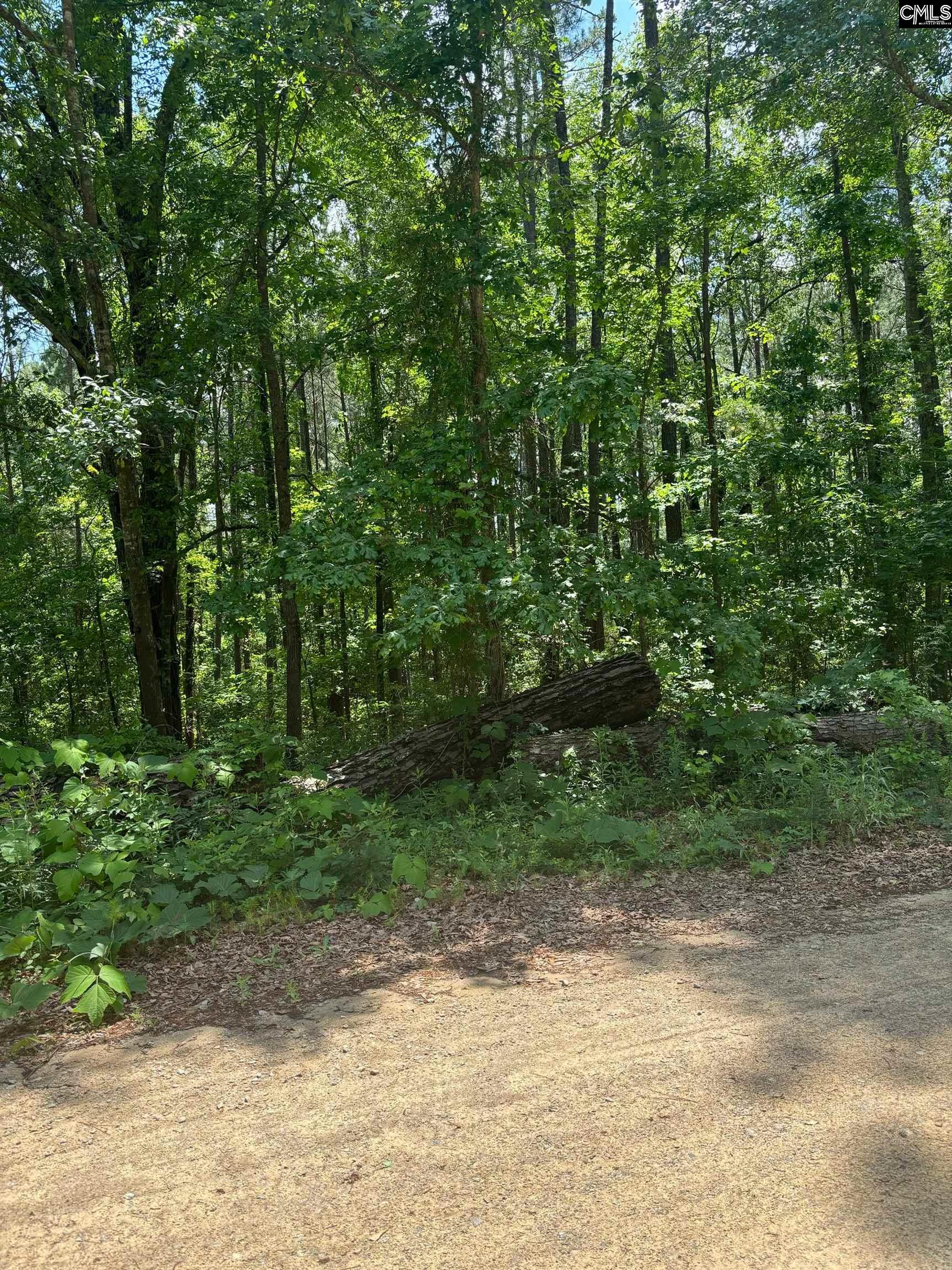 000 Ridgewood Drive Unit Lot 1 Rembert, SC 29128