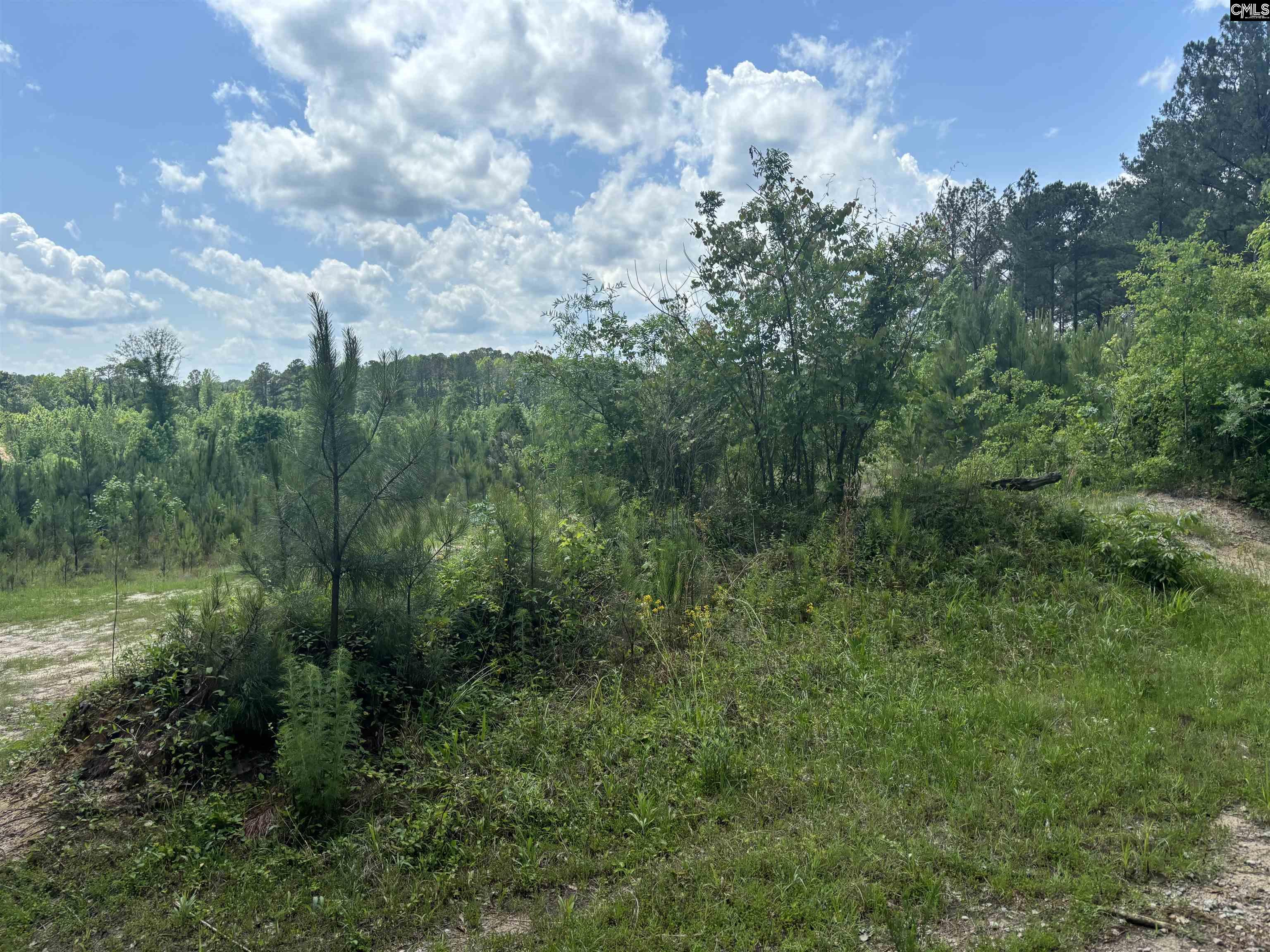 000 Ridgewood Drive Unit Lot 2 Rembert, SC 29128