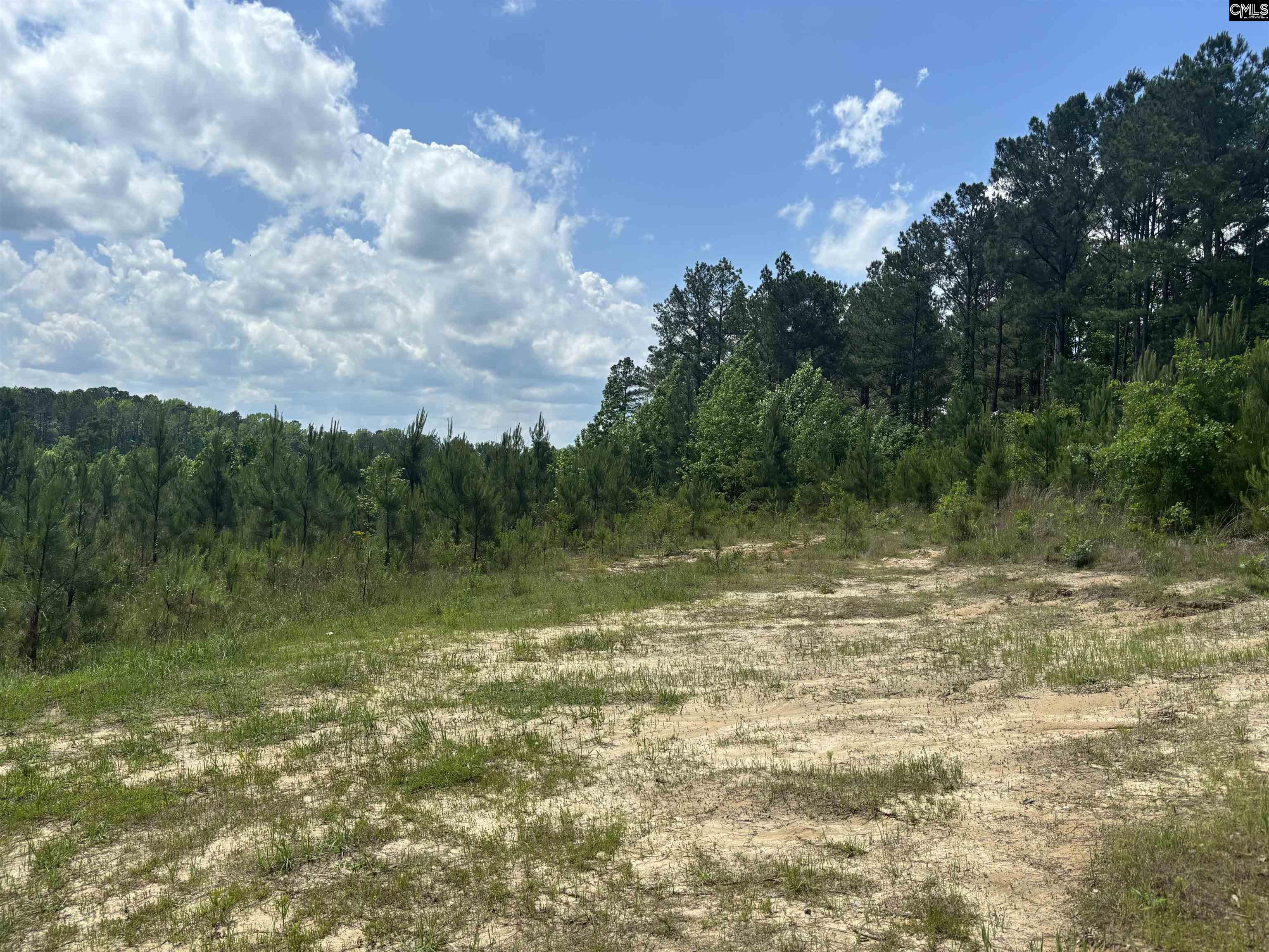 000 Ridgewood Drive Unit Lot 3 Rembert, SC 29128