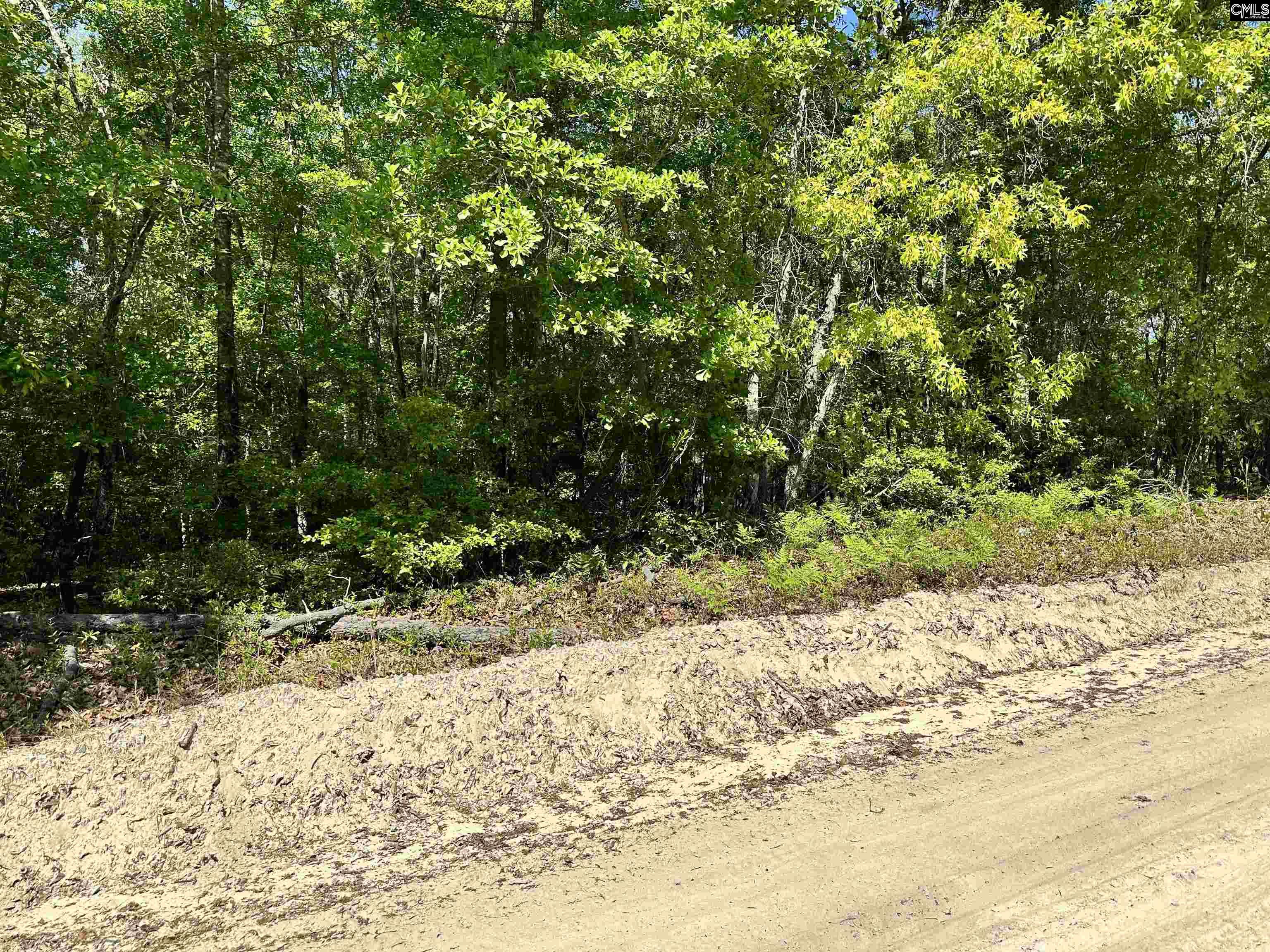608 Hillsdale Drive, Camden, South Carolina image 1