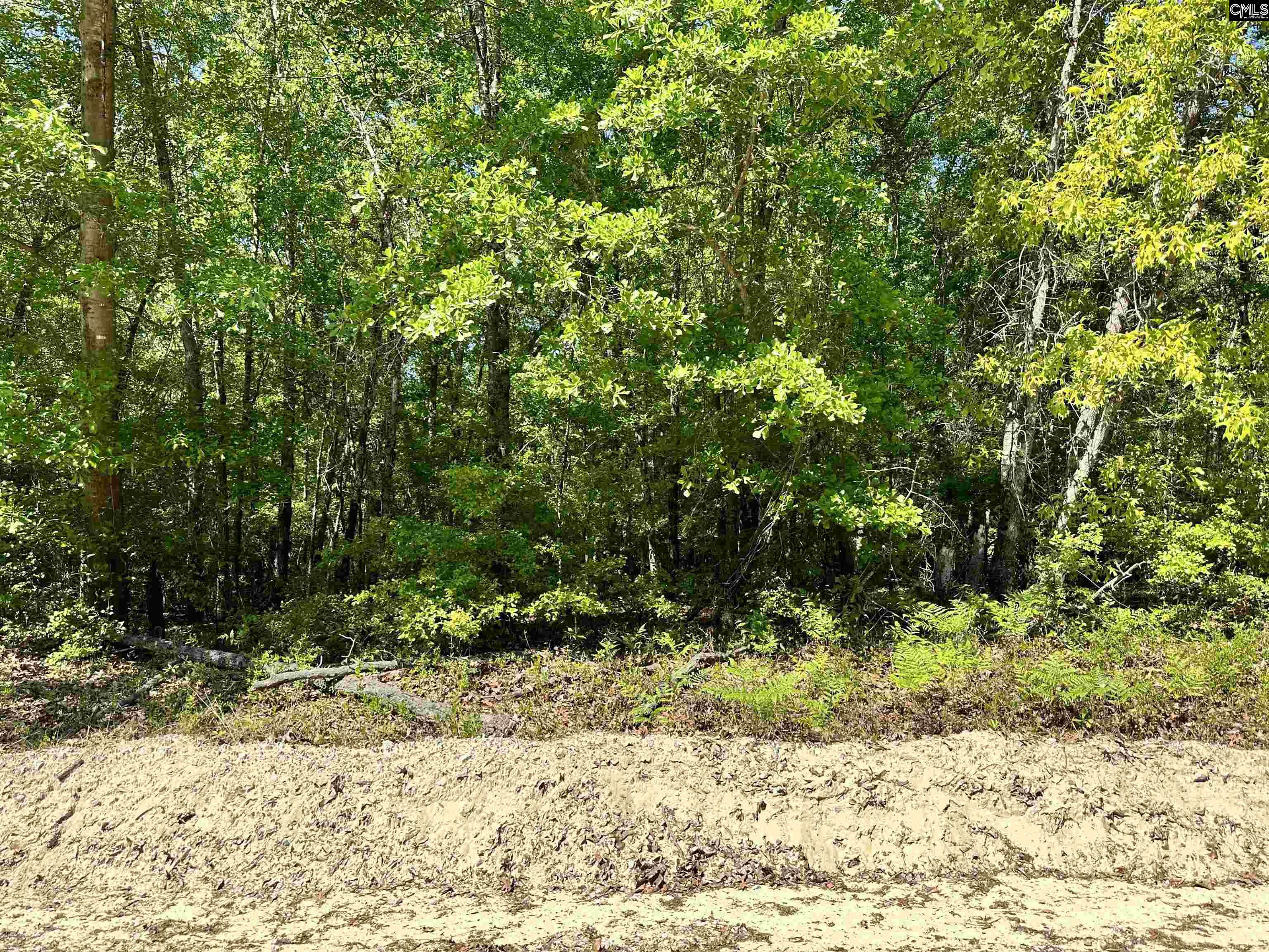 608 Hillsdale Drive, Camden, South Carolina image 2