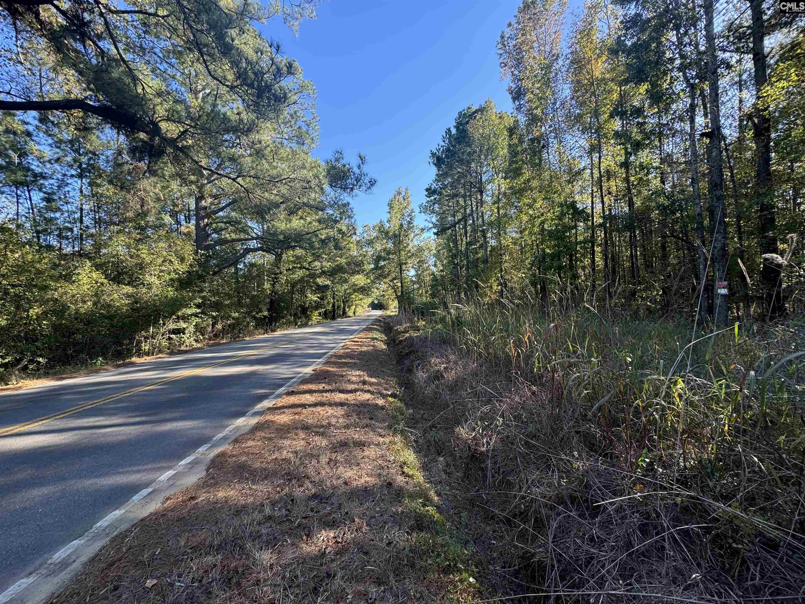 Old Bluff Road Hopkins, SC 29061