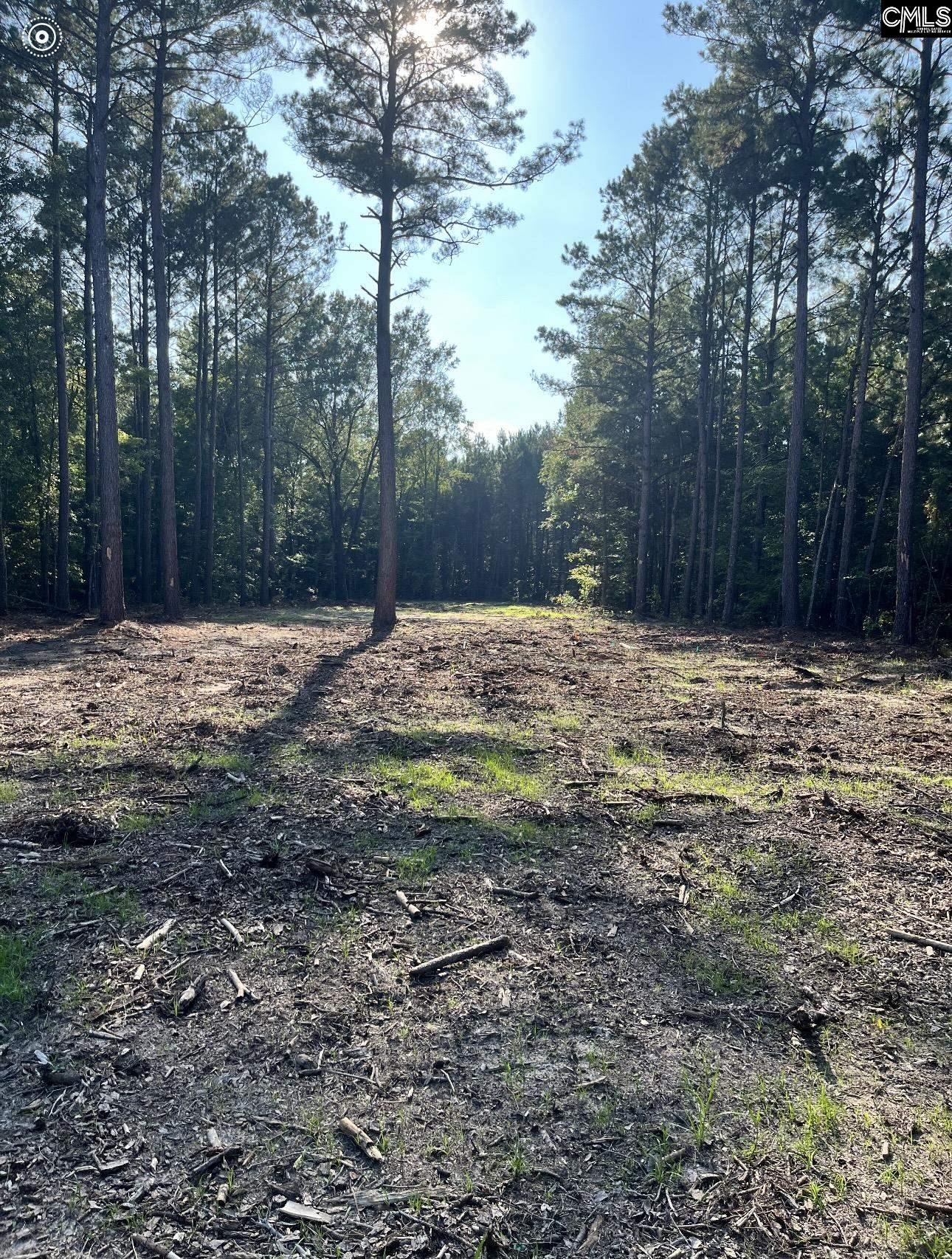 1142 Blackberry Gadsden, SC 29052
