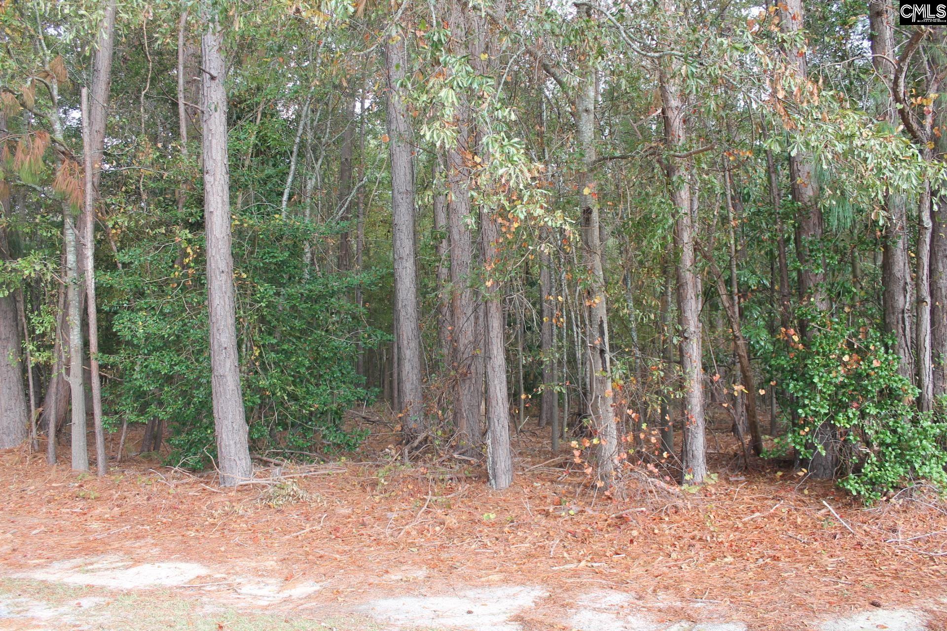Durango Drive, Leesville, South Carolina image 2