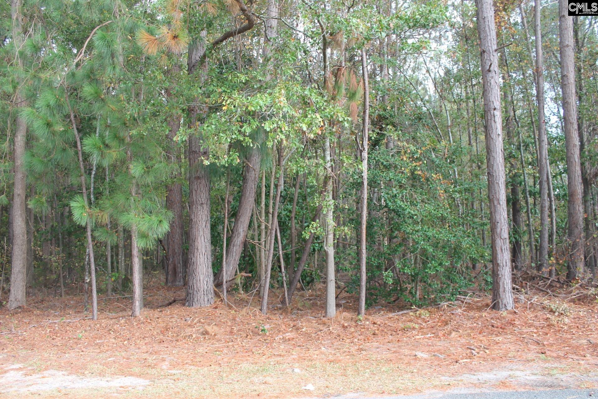 Durango Drive, Leesville, South Carolina image 3