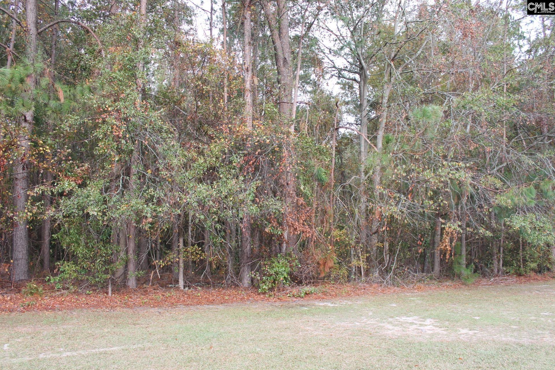 Durango Drive, Leesville, South Carolina image 4